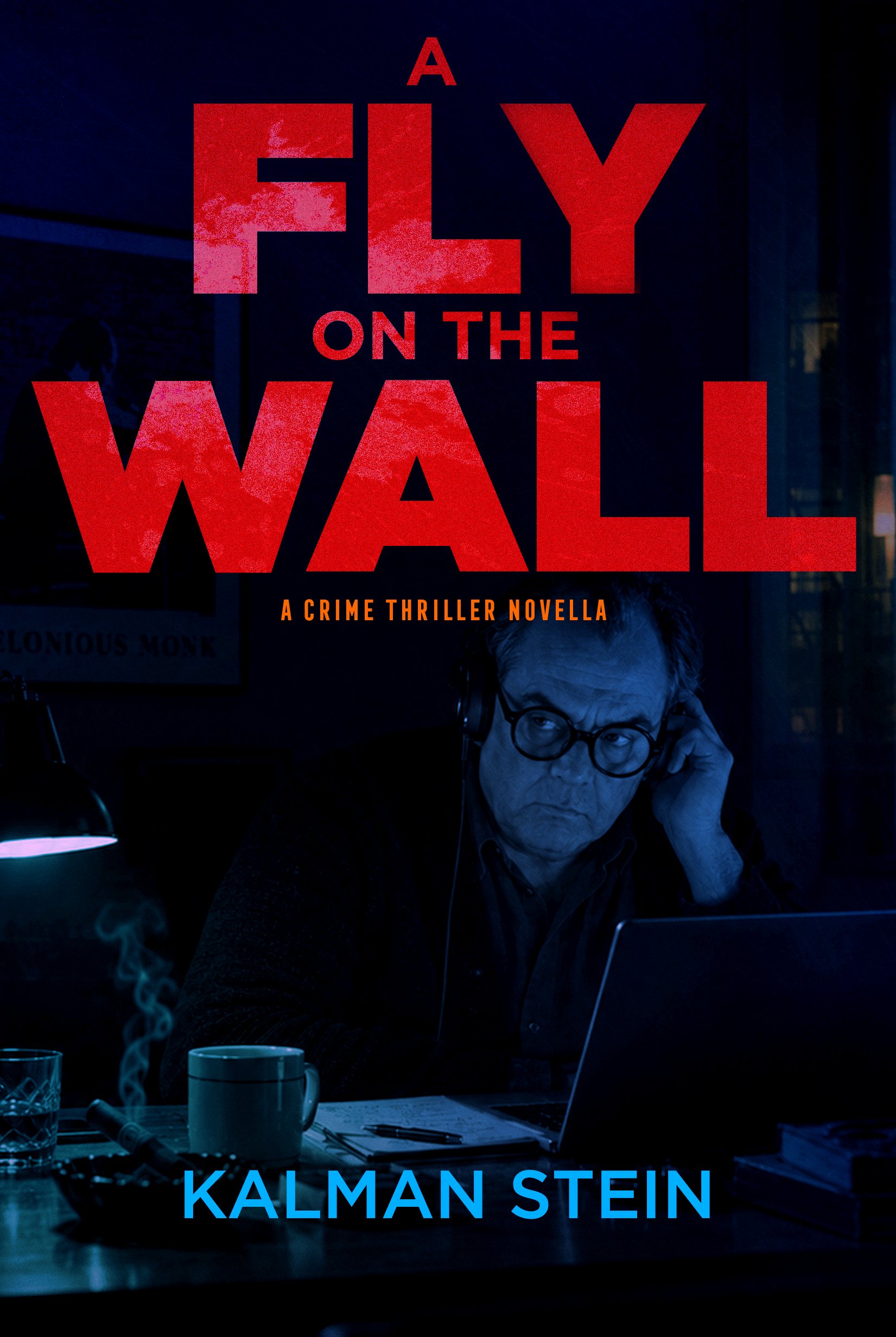 Book cover - A Fly on the Wall by Kalman Stein