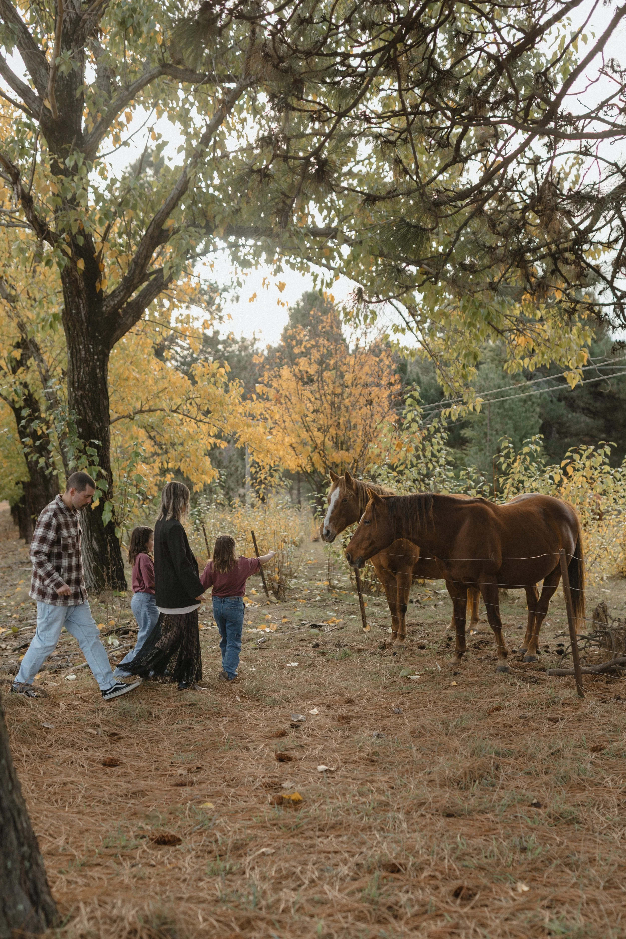 outdoor-family-photoshoot-with-horses-among-trees-jade-jones-photography.jpg