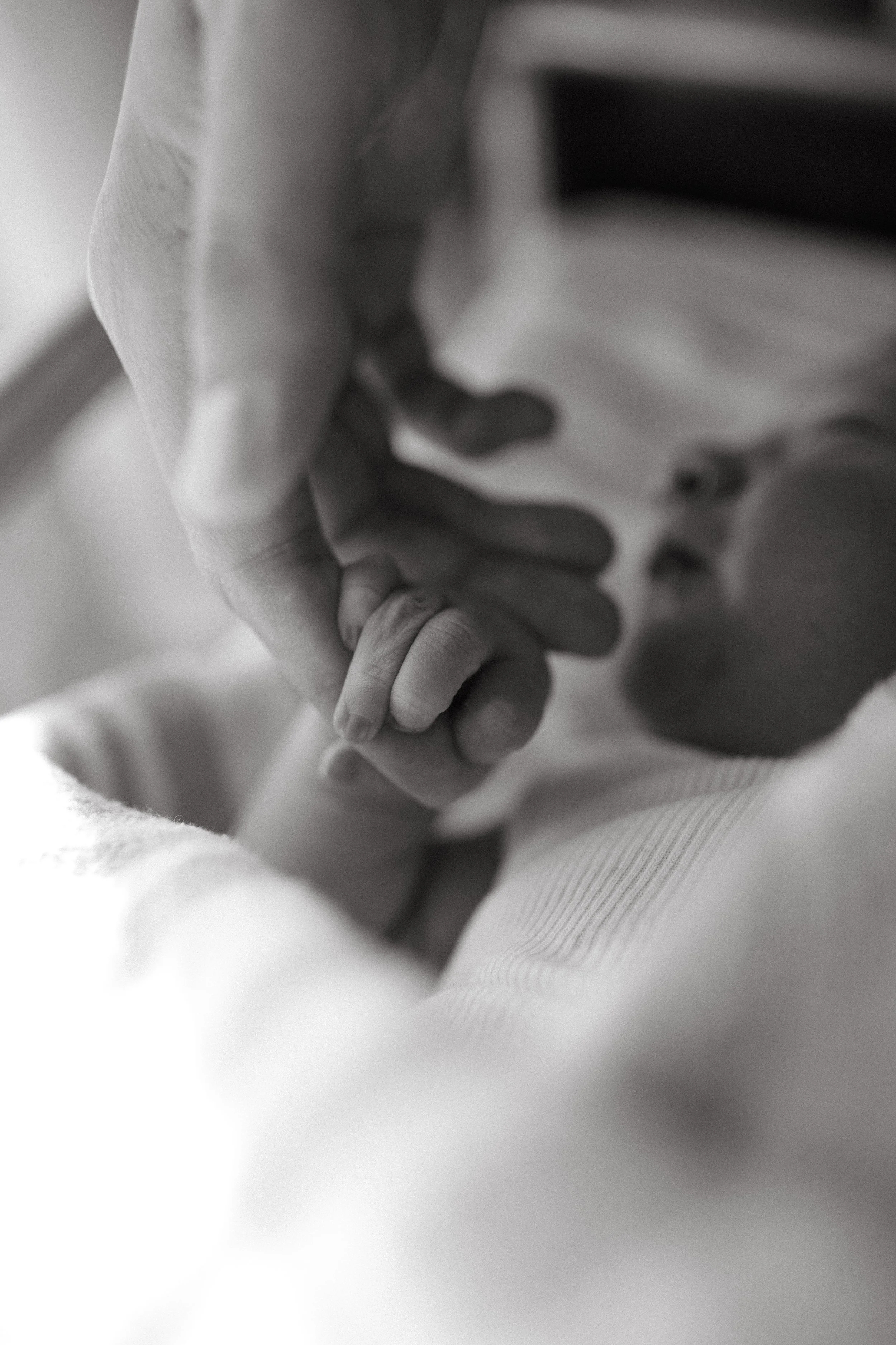 newborn-holding-dads-finger-fresh-48-photoshoot.jpg