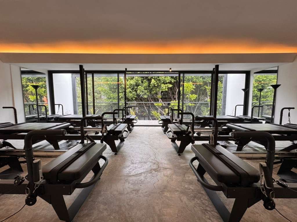Sala de rehabilitación con varias camillas de ejercicio y ventanas grandes con vista a árboles verdes.