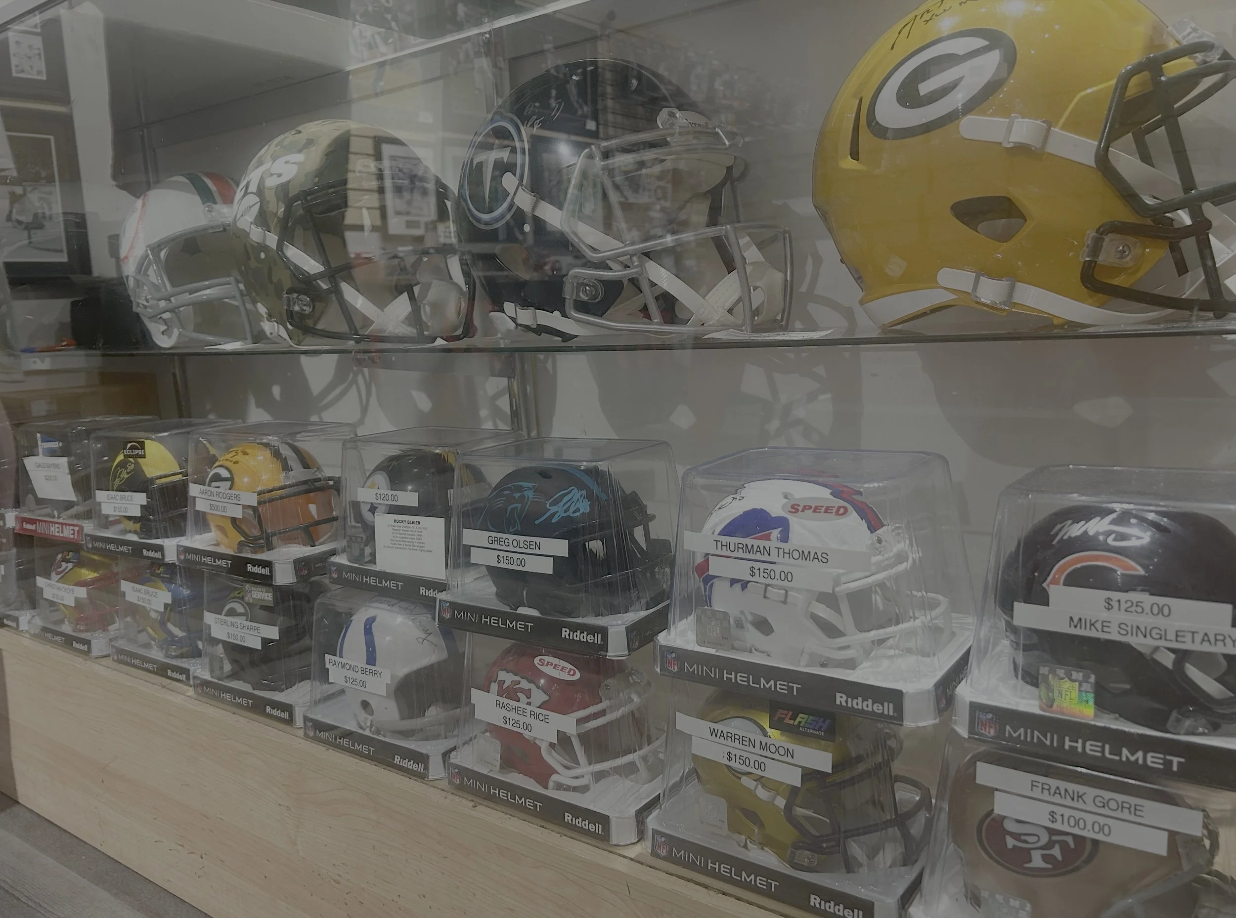 evansstore_helmetcase.jpg