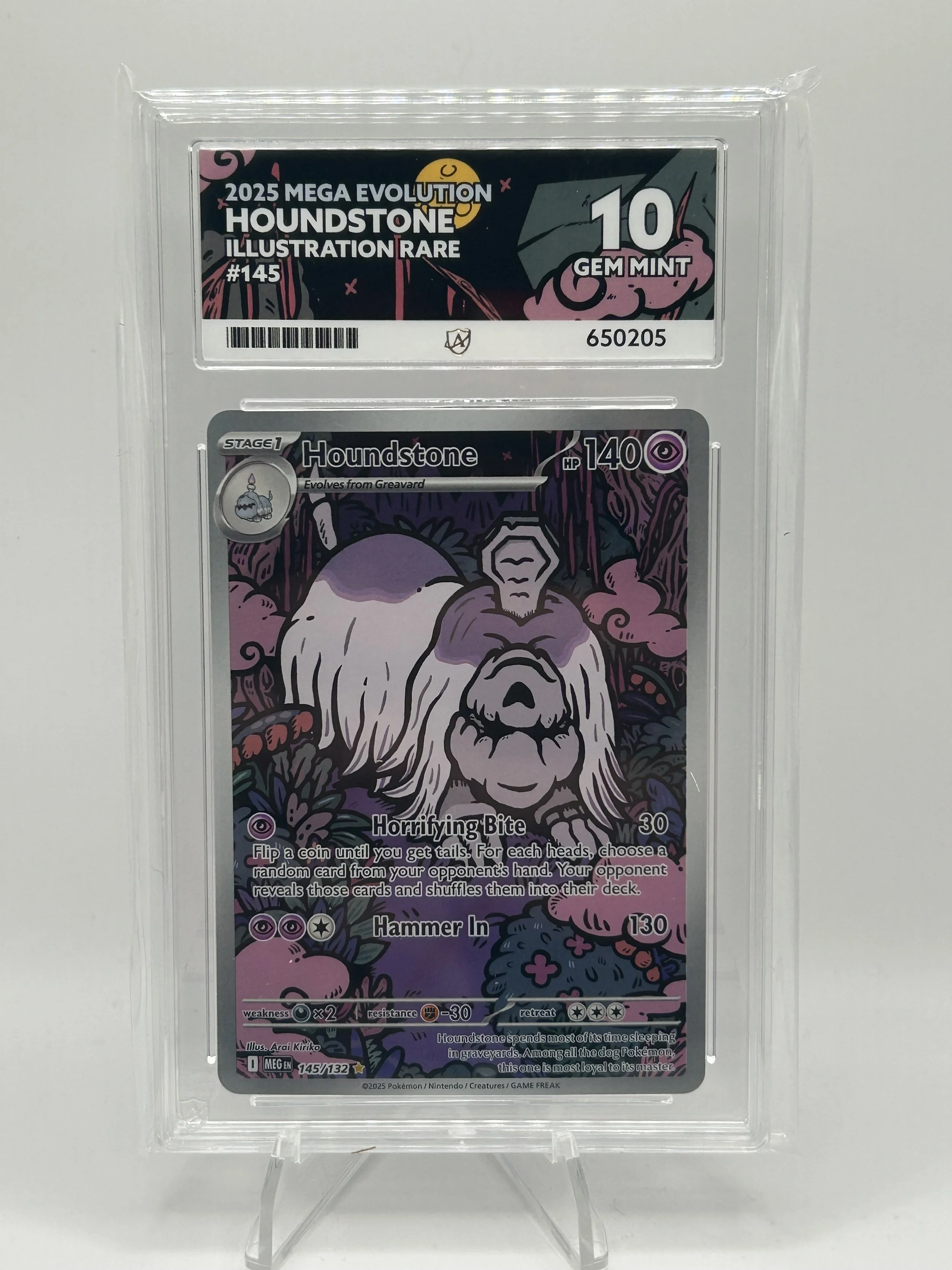 🐶 Houndstone IR 145/132 – ACE 10 (English)