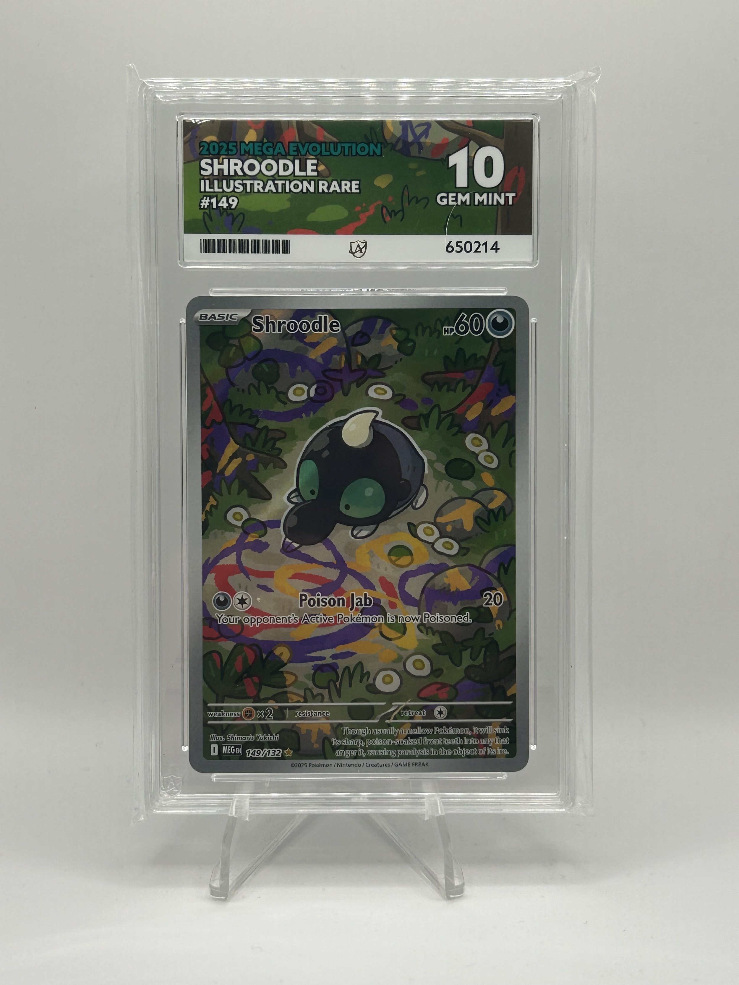 🎨 Shroodle IR 149/132 – ACE 10 (English)