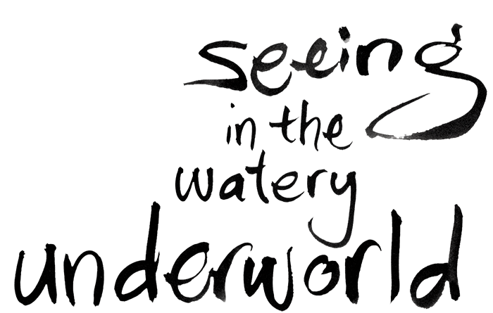 Seeing in the watery underworld