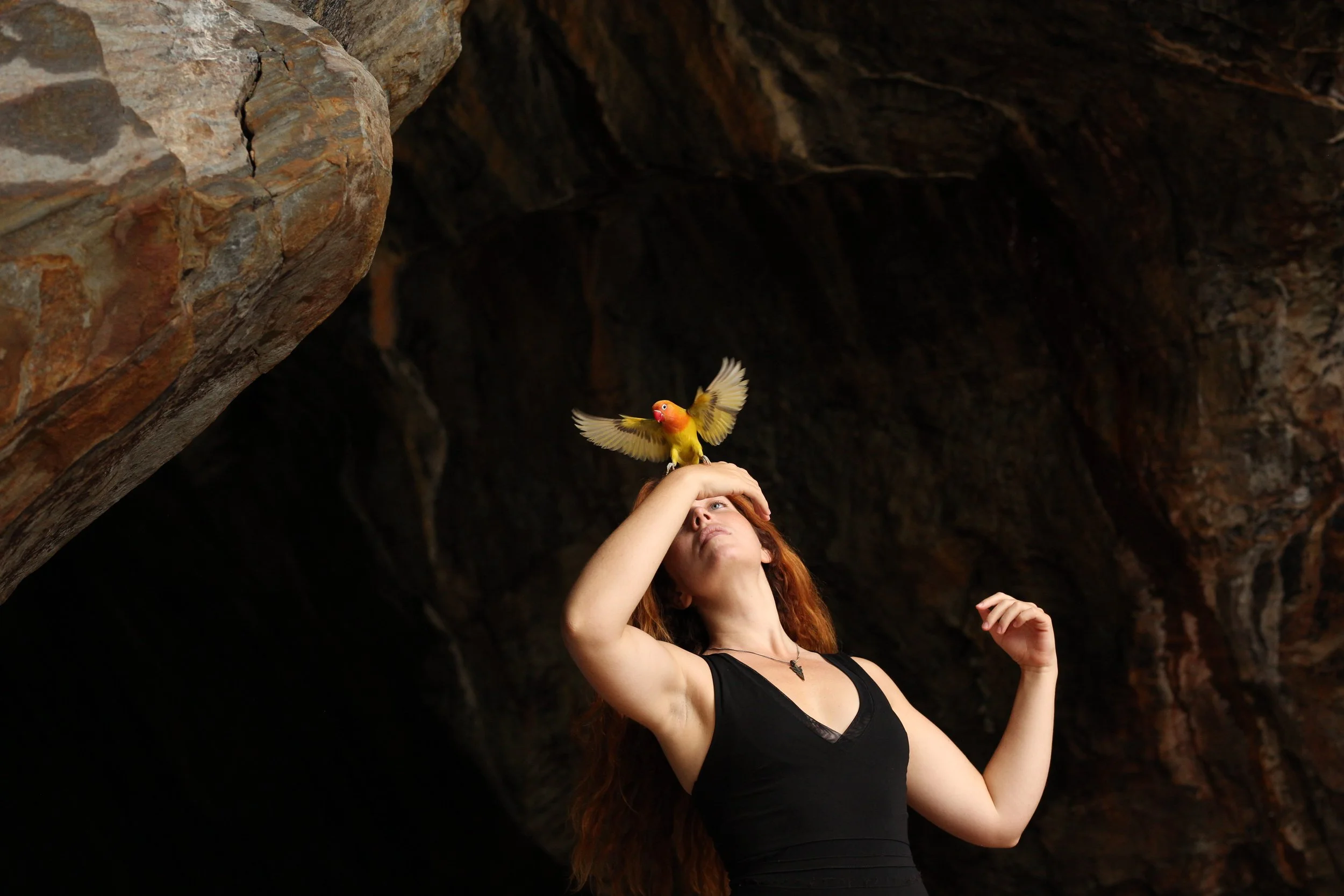 Les oiseaux de pluie: soirée projection et conférence