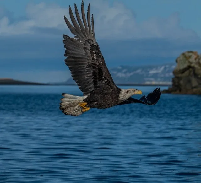 Soirée Cercle de Tambours
