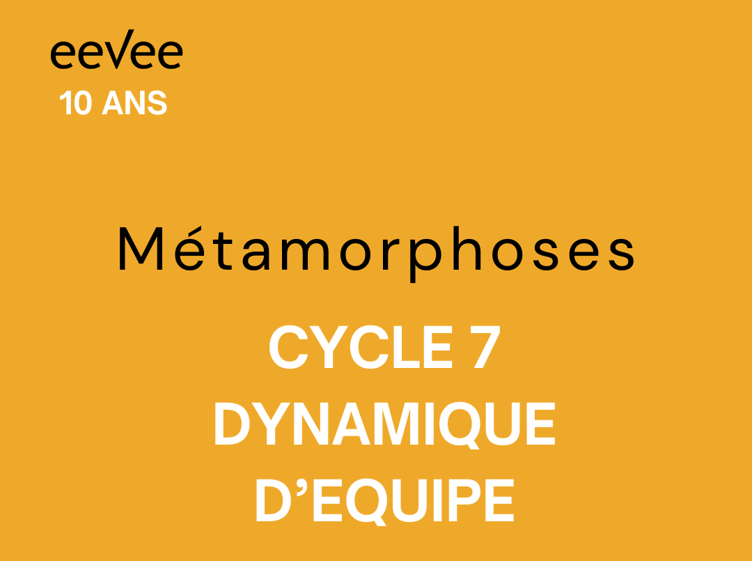 Métamorphoses - Cycle 7 - Dynamique d'équipe