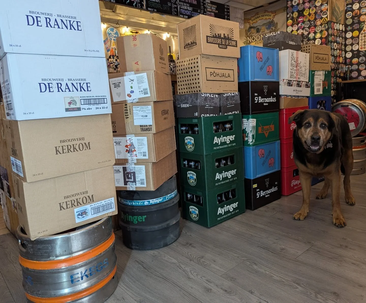 Heeeeeeelp! 

I may have ordered some Christmas stock - Dennis