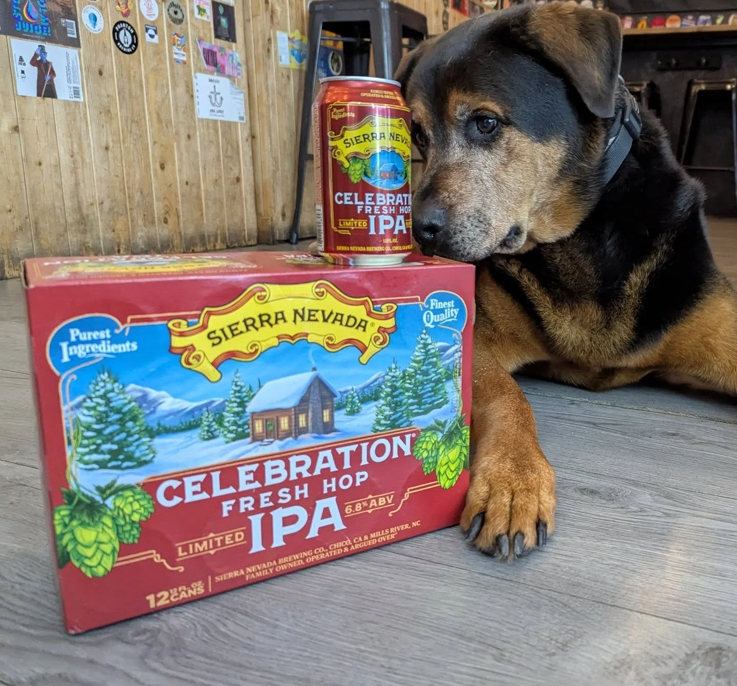 Goooooood Afternoon Colchester,

It's that exciting time of the year when Sierra Nevada's Celebration arrives! 

Cans at the moment, kegs to follow,  be quick though, Dennis has just reserved these few! 

#cheers @sierranevada #celebration #ipa #denn
