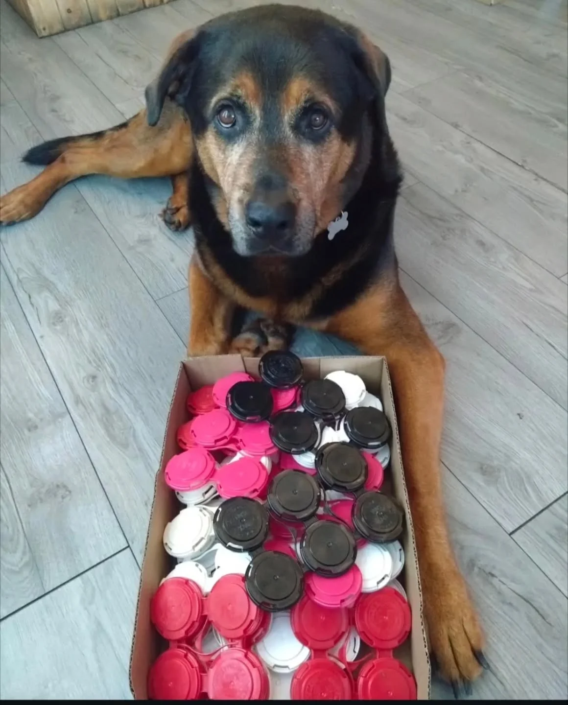 HELLLLP!

We are OPEN TODAY, and Dennis is stuck trying to sort these out into different colour stacks, who is dropping by to help him out? 

Cheers,