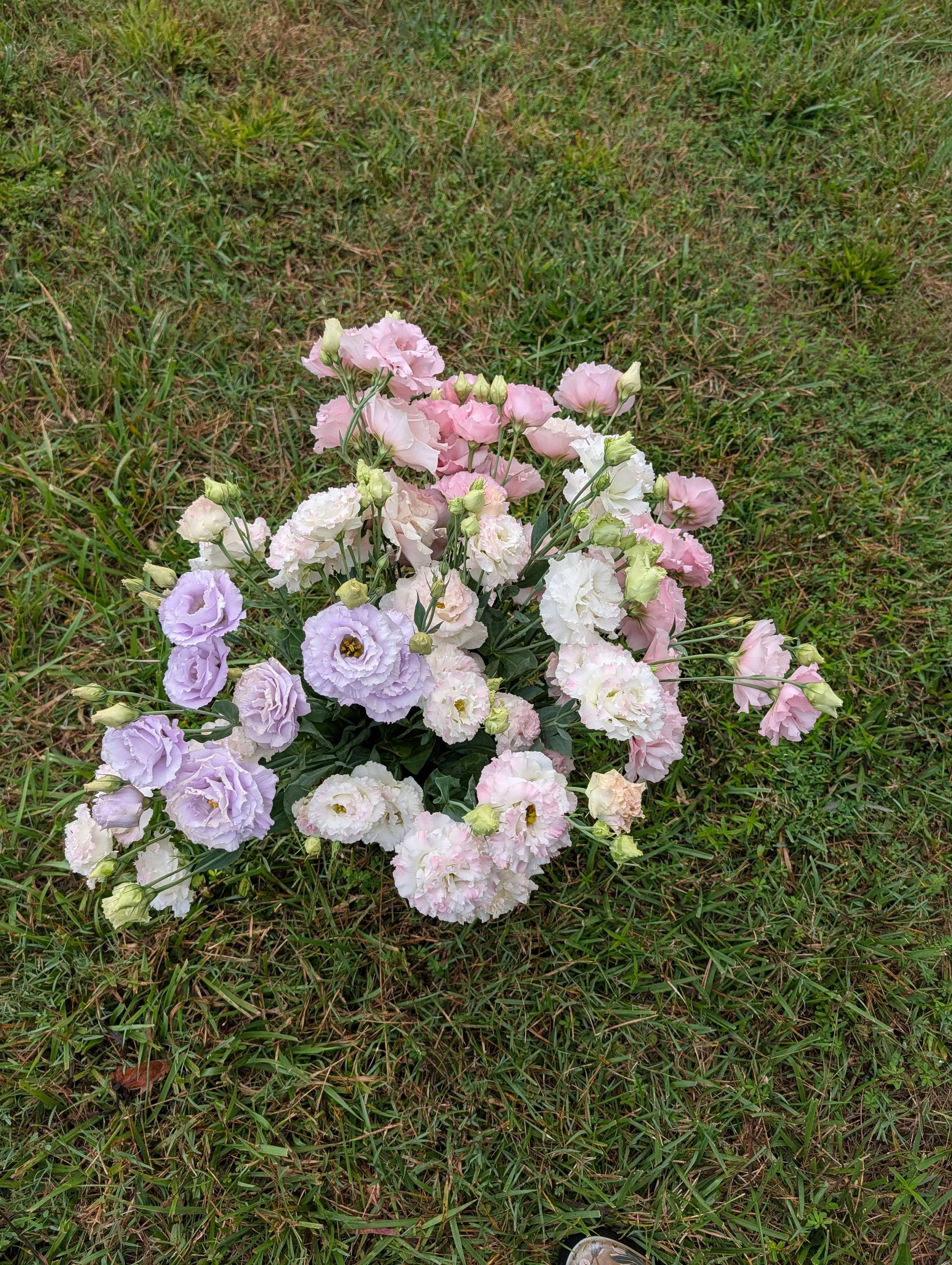 Freshly harvested pink, white, and lavender lisianthus arrange on the gras after a morning harvest at Quinnfield Gardens.
