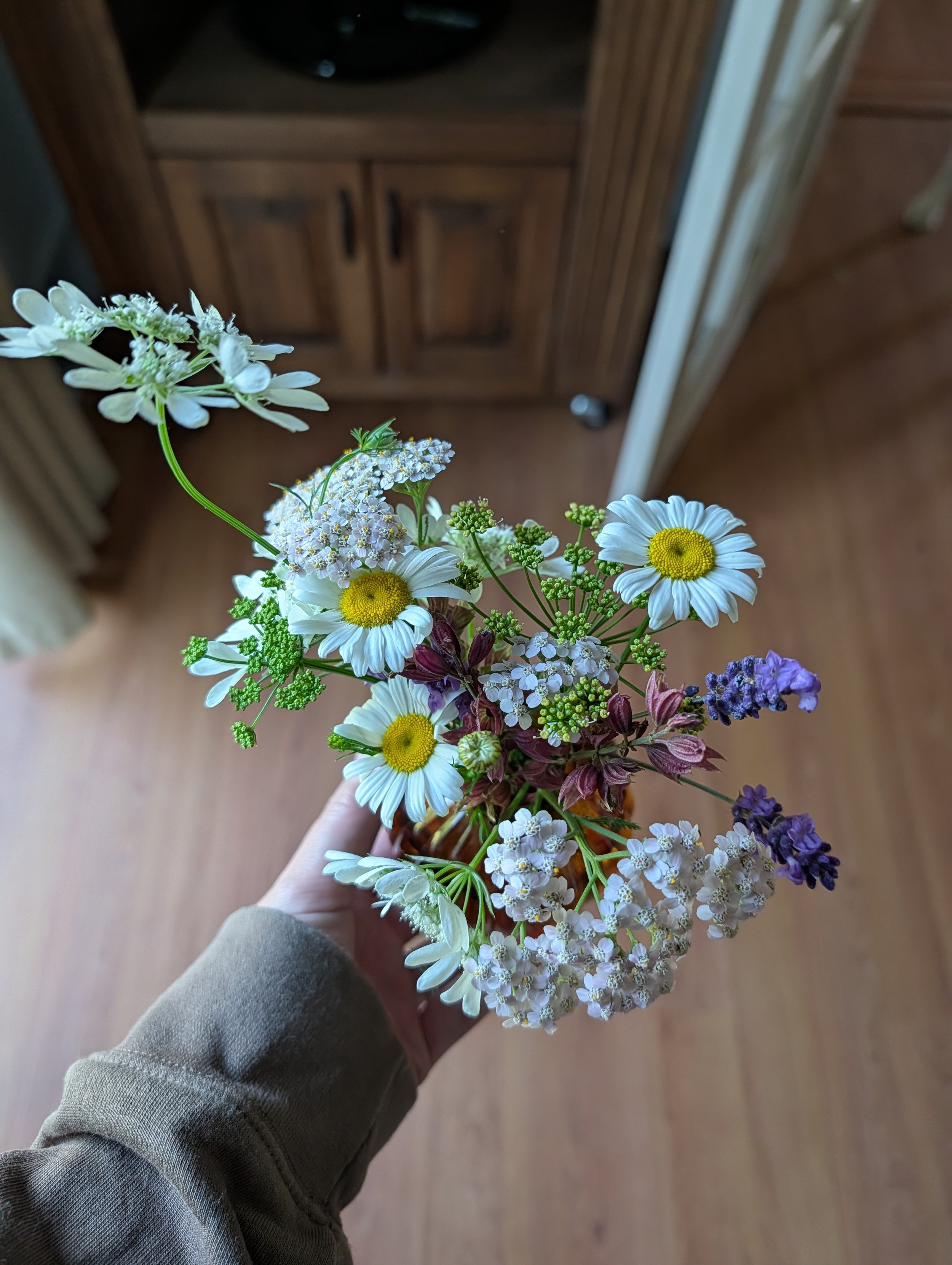Hand hold a loose bouquet of daisies, herbs and wildflowers gathered from the garden and field.