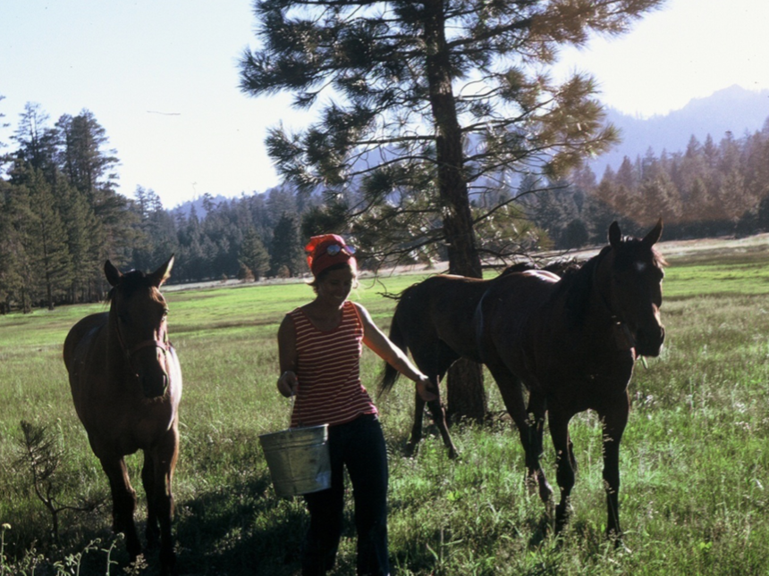 Dinner bell in Kern Plateau meadow