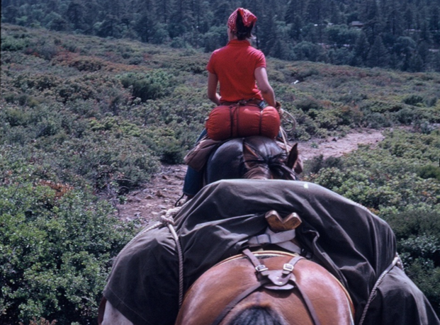 Laguna Rim: pack starting to slip