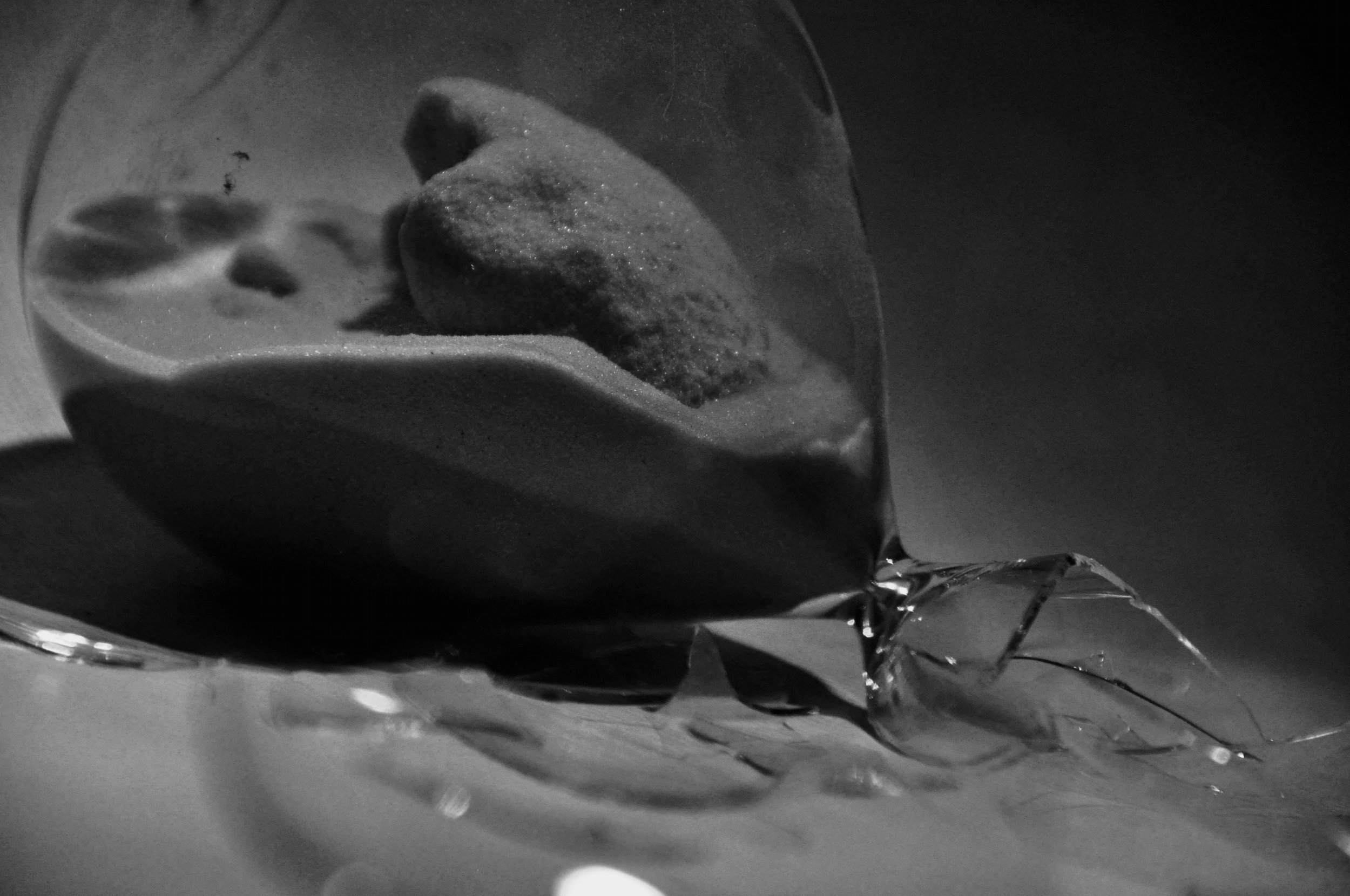 Napapijri c/ Geøgraphical Nørway : Précisions bienvenues sur l’imprescriptibilité de l’action en nullité de marques