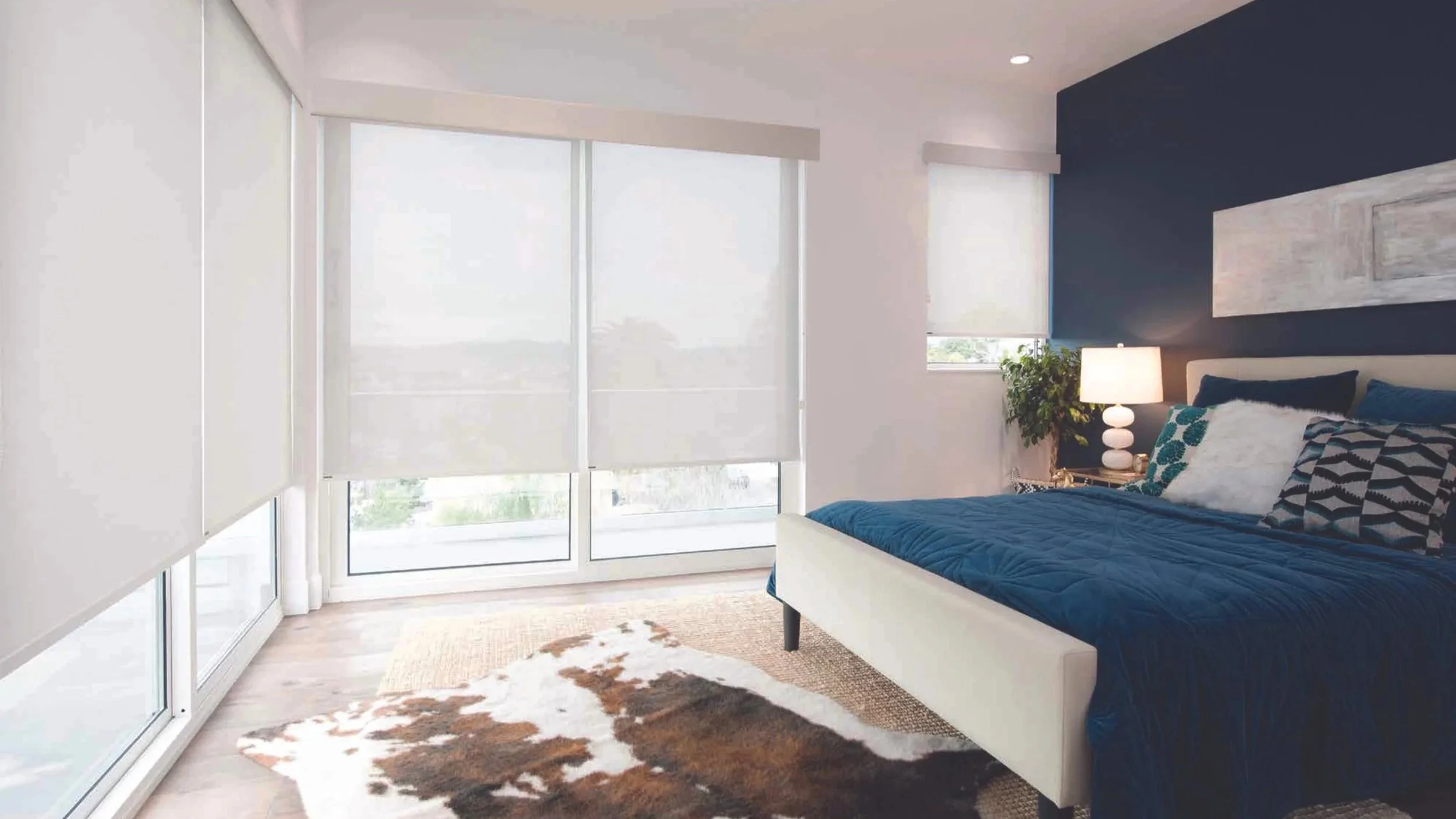 Modern bedroom with large windows, white and navy walls, white bed frame, navy bedding, assorted pillows, a bedside lamp, a plant, and a cow-print rug.