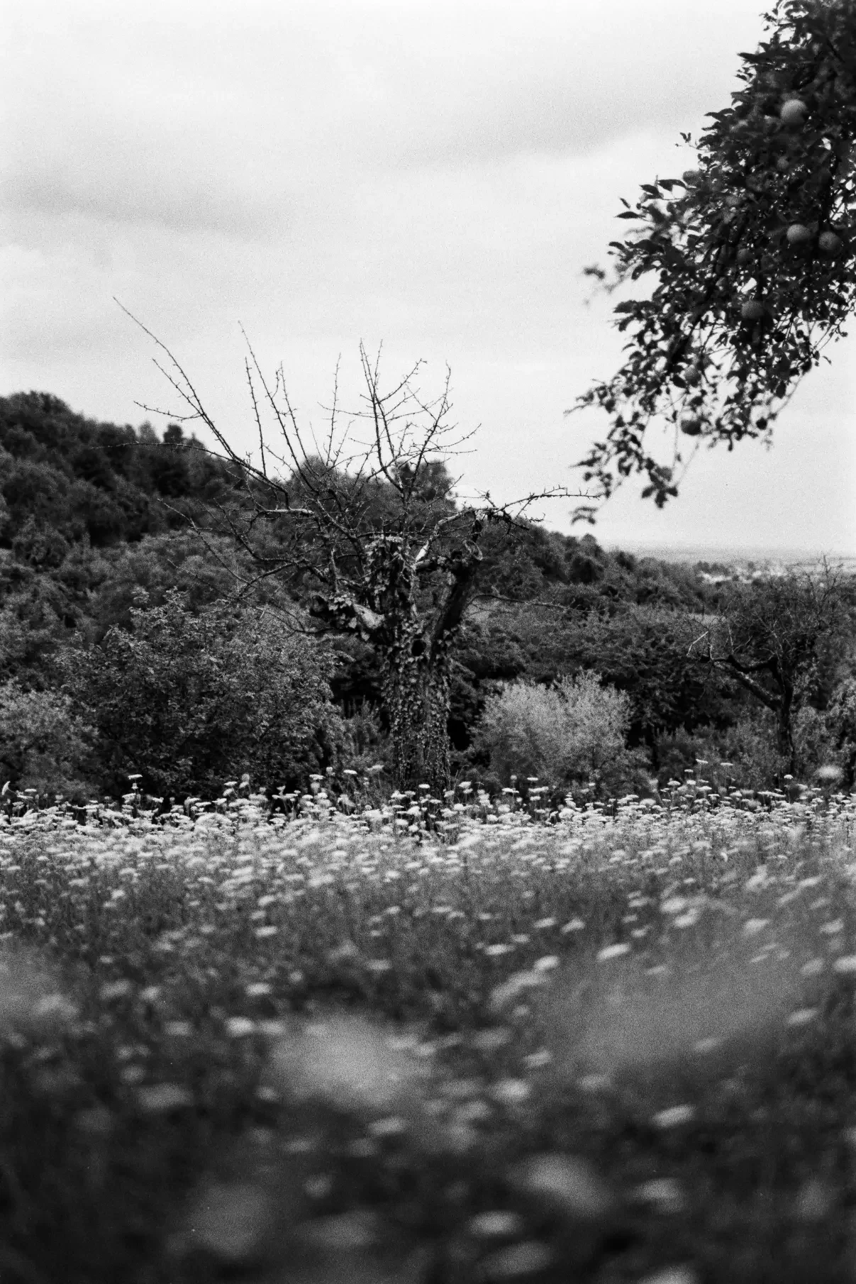 analogfotografie-oberstenfeld-street-architektur-stimmung
