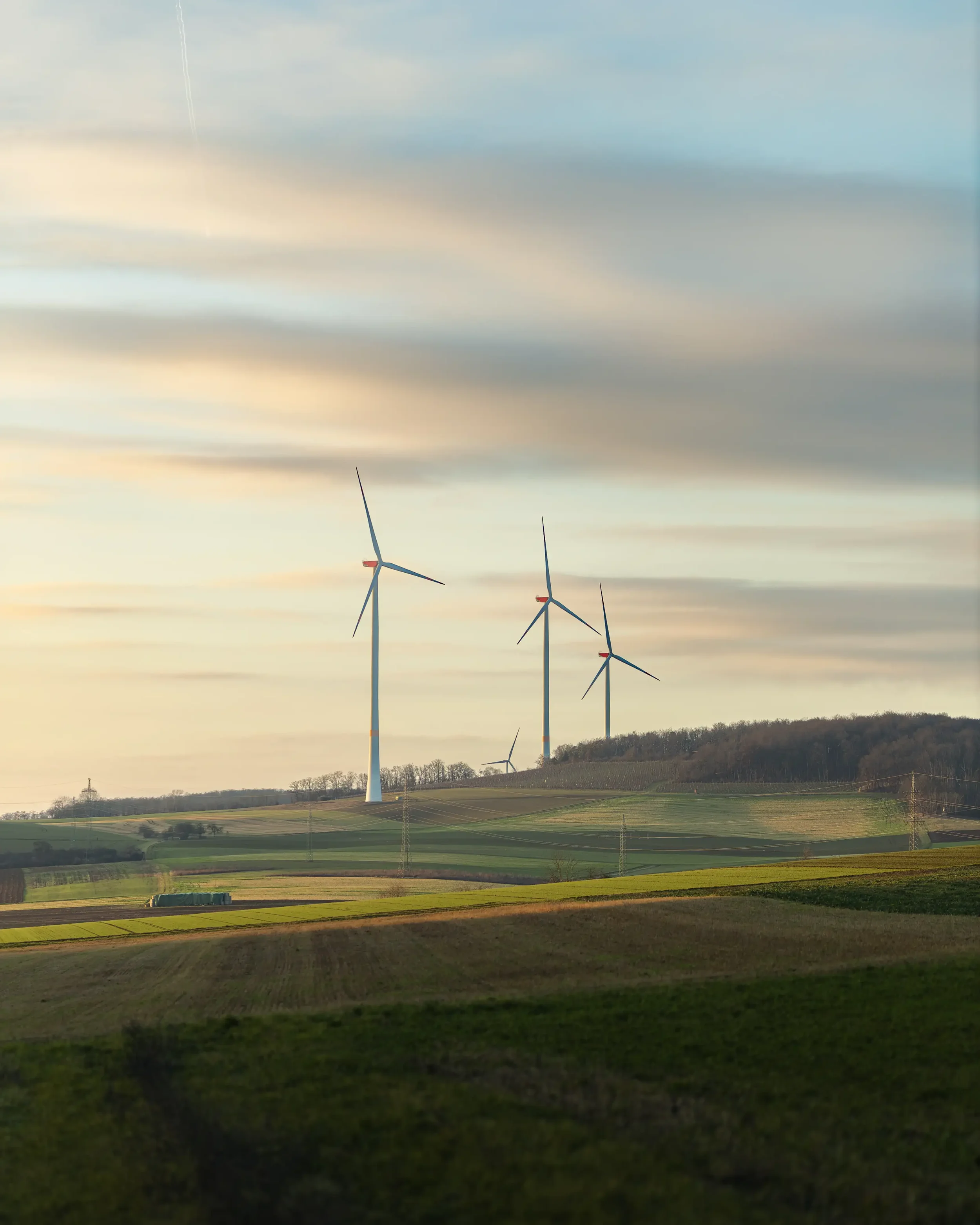 landschaftsfotografie-natur-wald-architektur-wald-zerfall-bäume