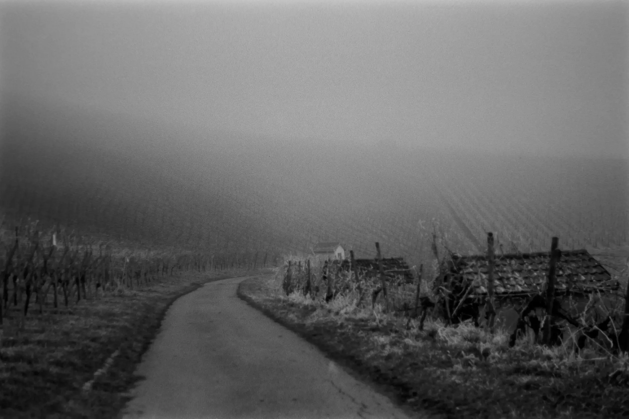 analogfotografie-oberstenfeld-street-architektur-stimmung