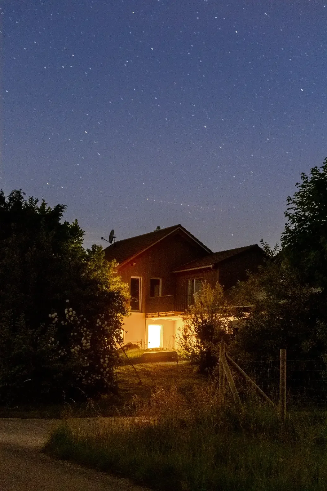 landschaftsfotografie-natur-wald-architektur-wald-zerfall-bäume