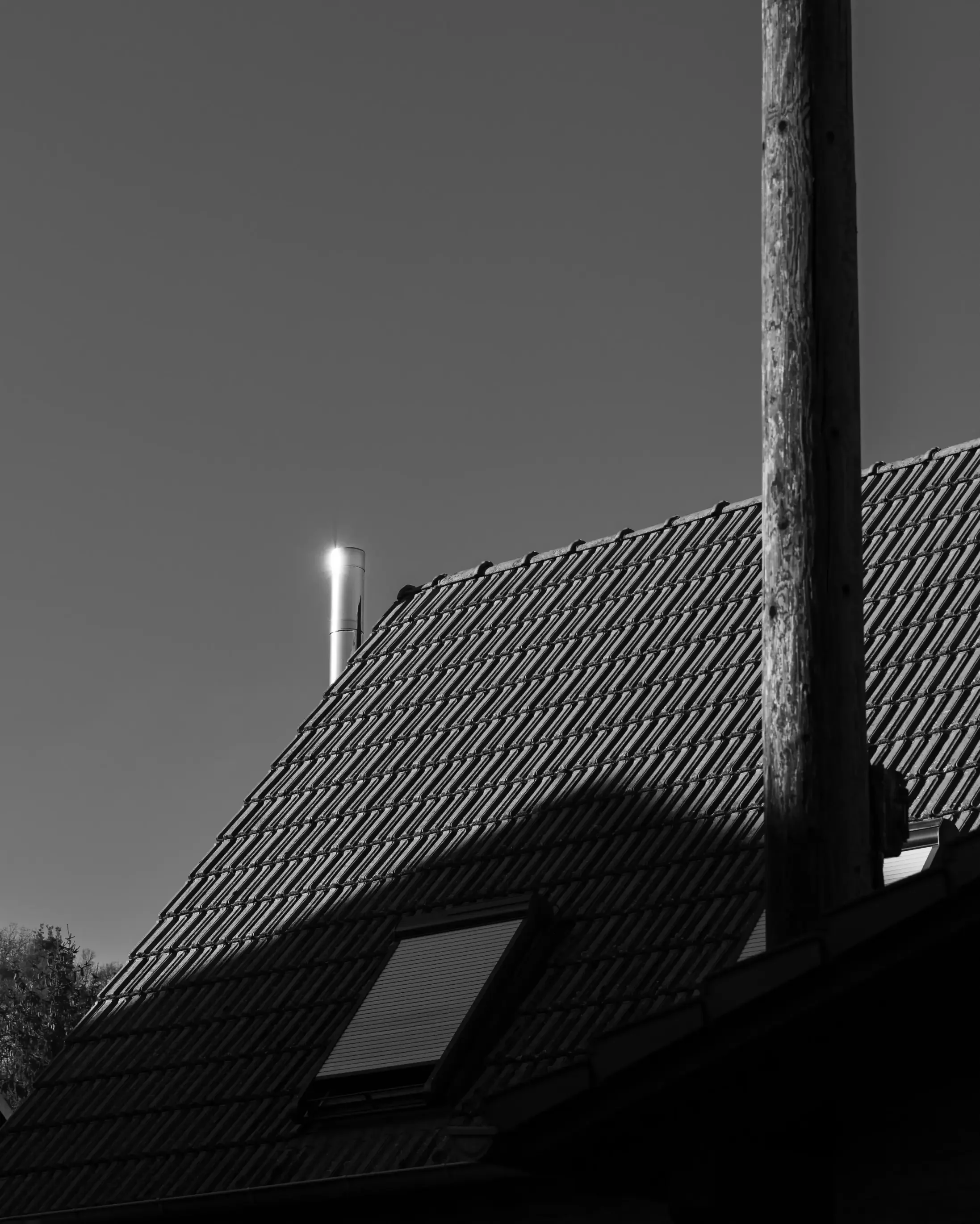 landschaftsfotografie-natur-wald-architektur-wald-zerfall-bäume