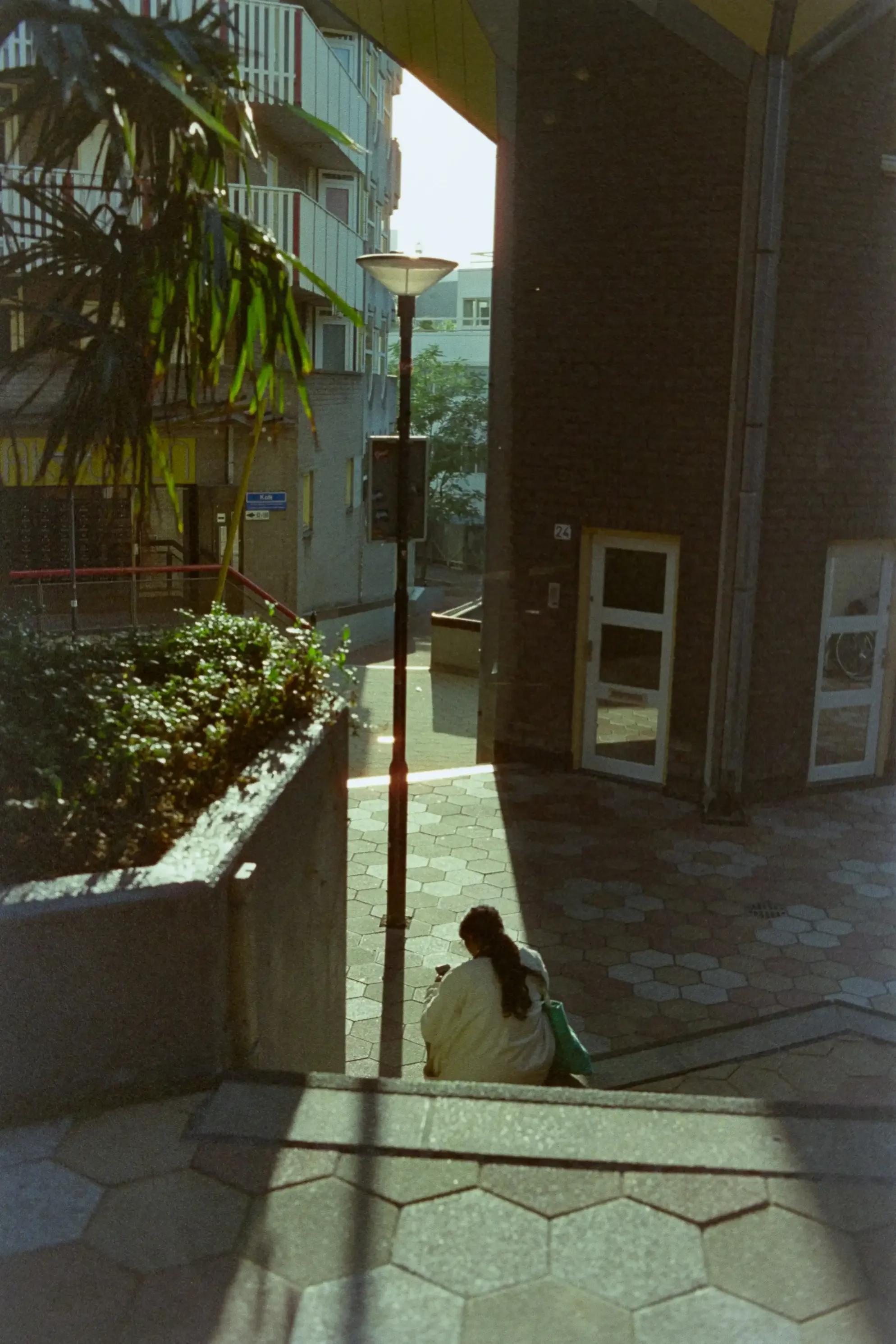 analogfotografie-neiderlande-den-haag-rotterdam