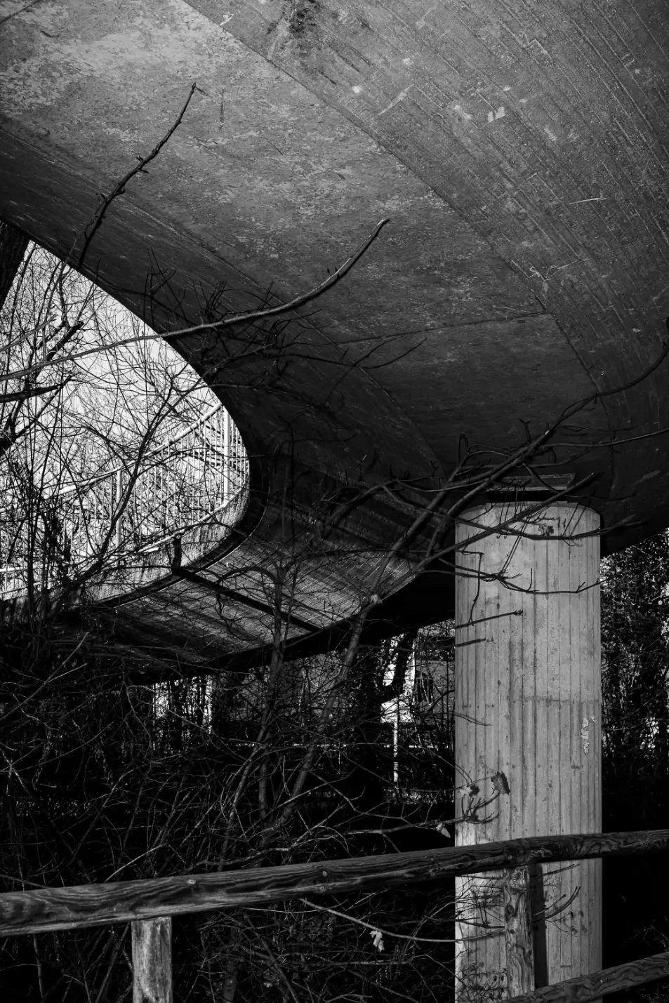 architekturfotografie-schwarzweiss-farbe-minimalistisch