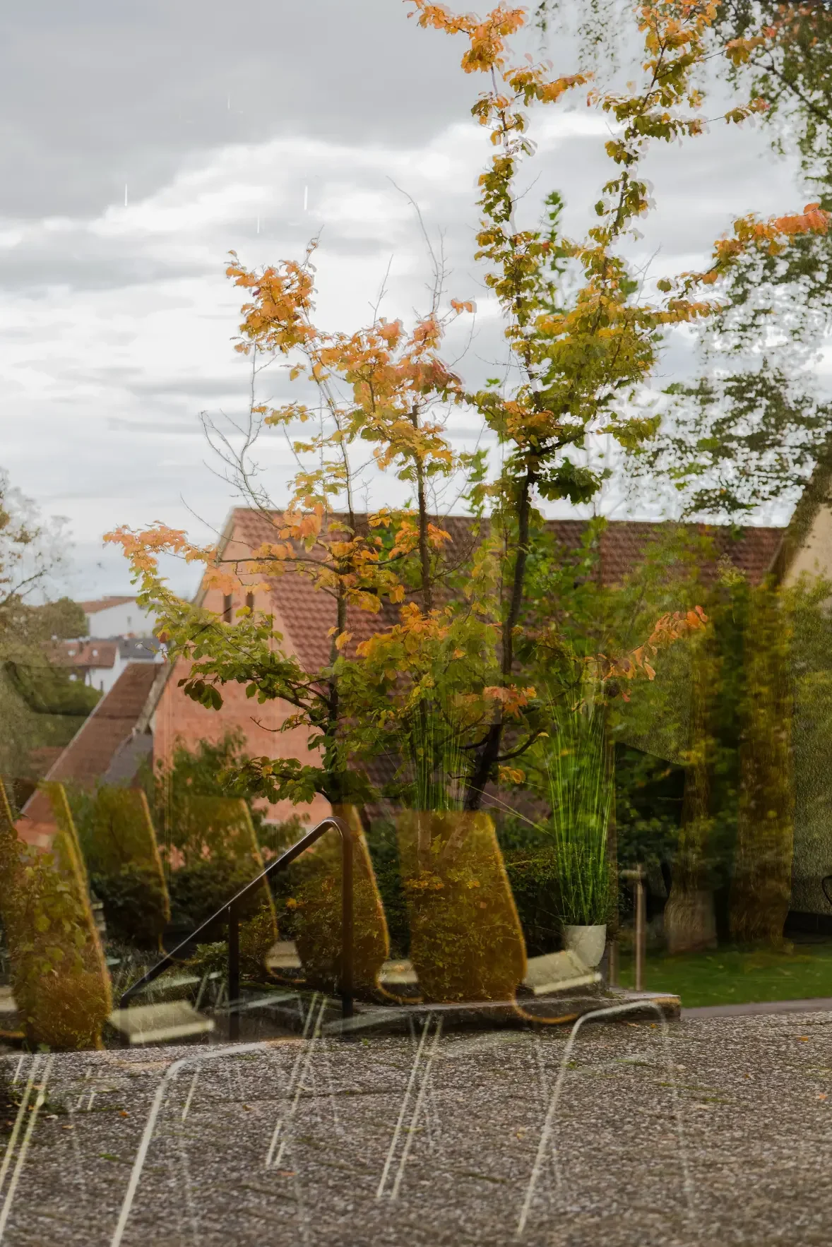 landschaftsfotografie-natur-wald-architektur-wald-zerfall-bäume