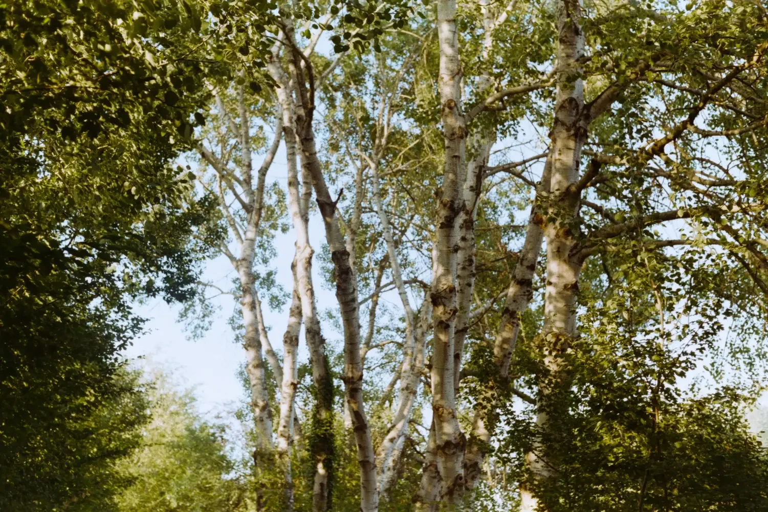 analogfotografie-oberstenfeld-street-architektur-stimmung