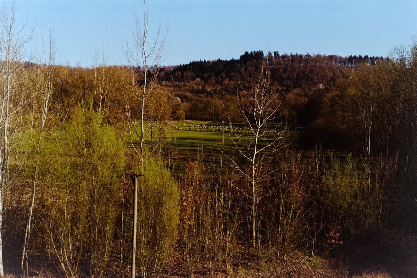 analogfotografie-oberstenfeld-street-architektur-stimmung