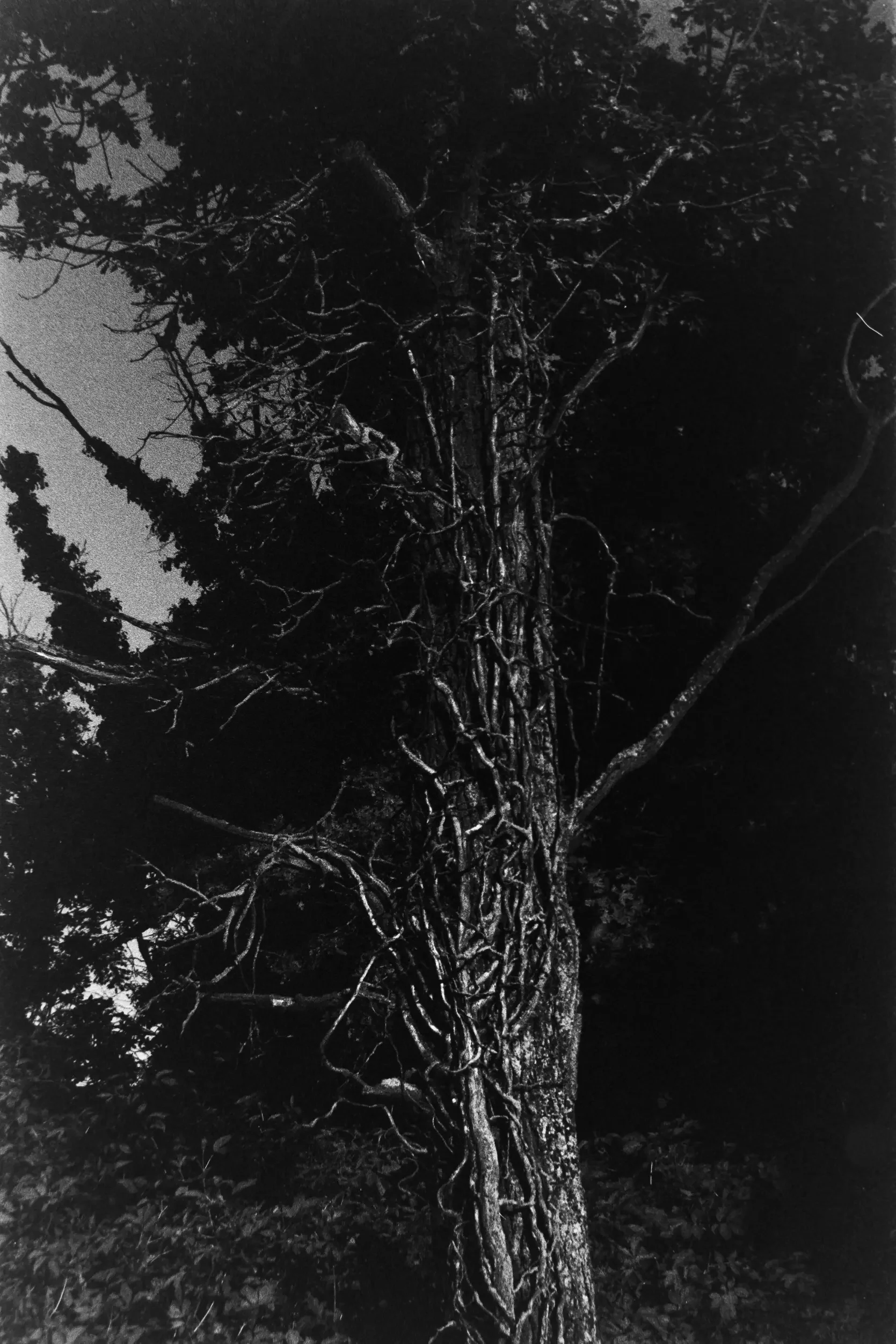 analogftografie-rossbrunn-wuerzburg-rottendorf-schwarzweiß-architektur-landschaft