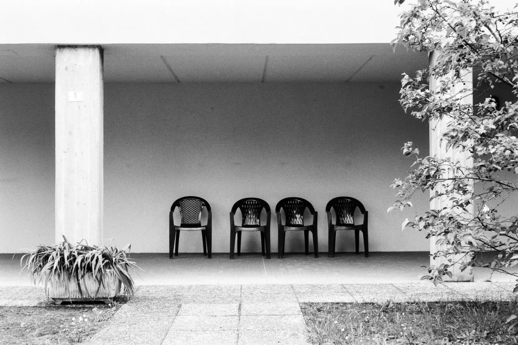 analogfotografie-itlaien, parma. la spezia-schwarzweiß-farbe-streetfotos-stadtbild-minimalistisch (4).webp