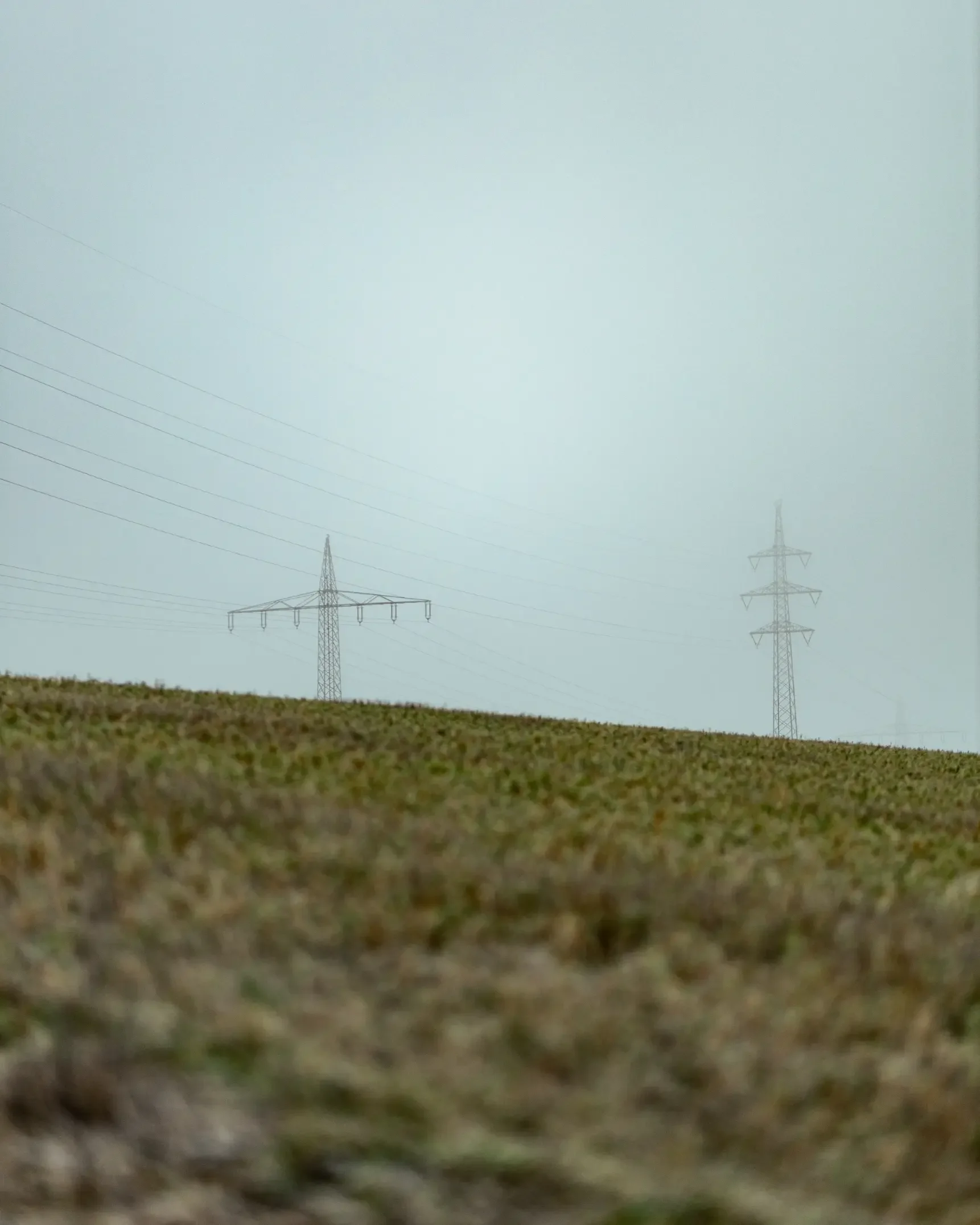 landschaftsfotografie-natur-wald-architektur-wald-zerfall-bäume