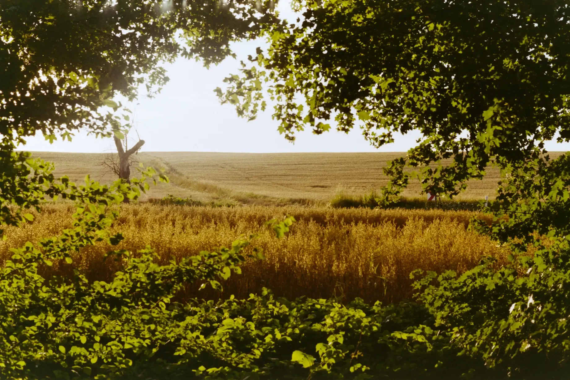 analogfotografie-oberstenfeld-street-architektur-stimmung