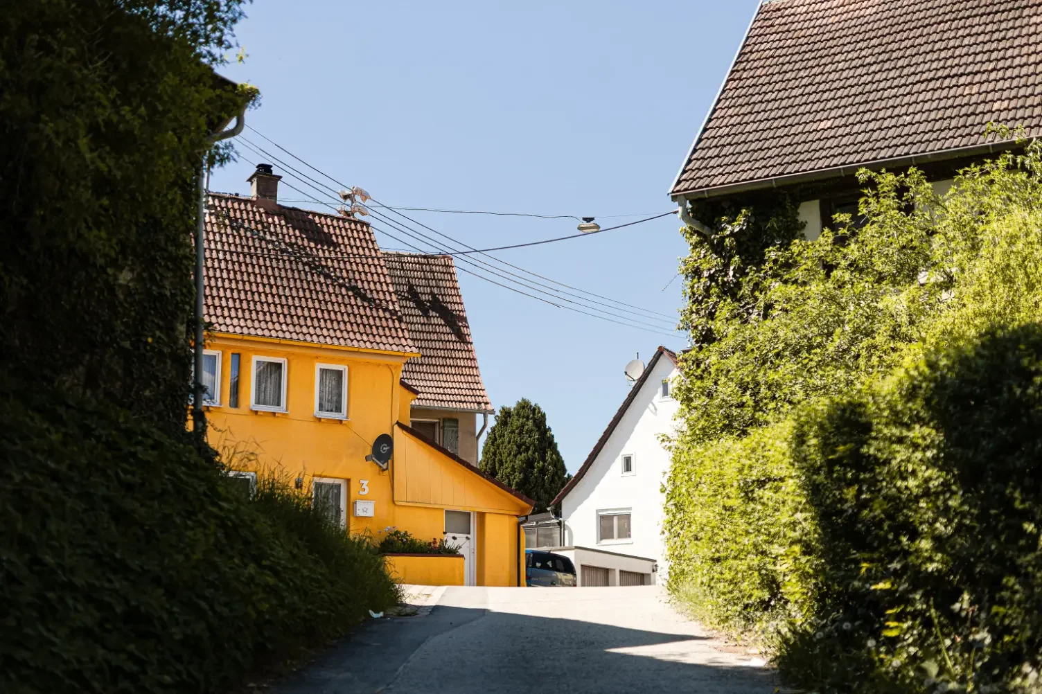 landschaftsfotografie-natur-wald-architektur-wald-zerfall-bäume