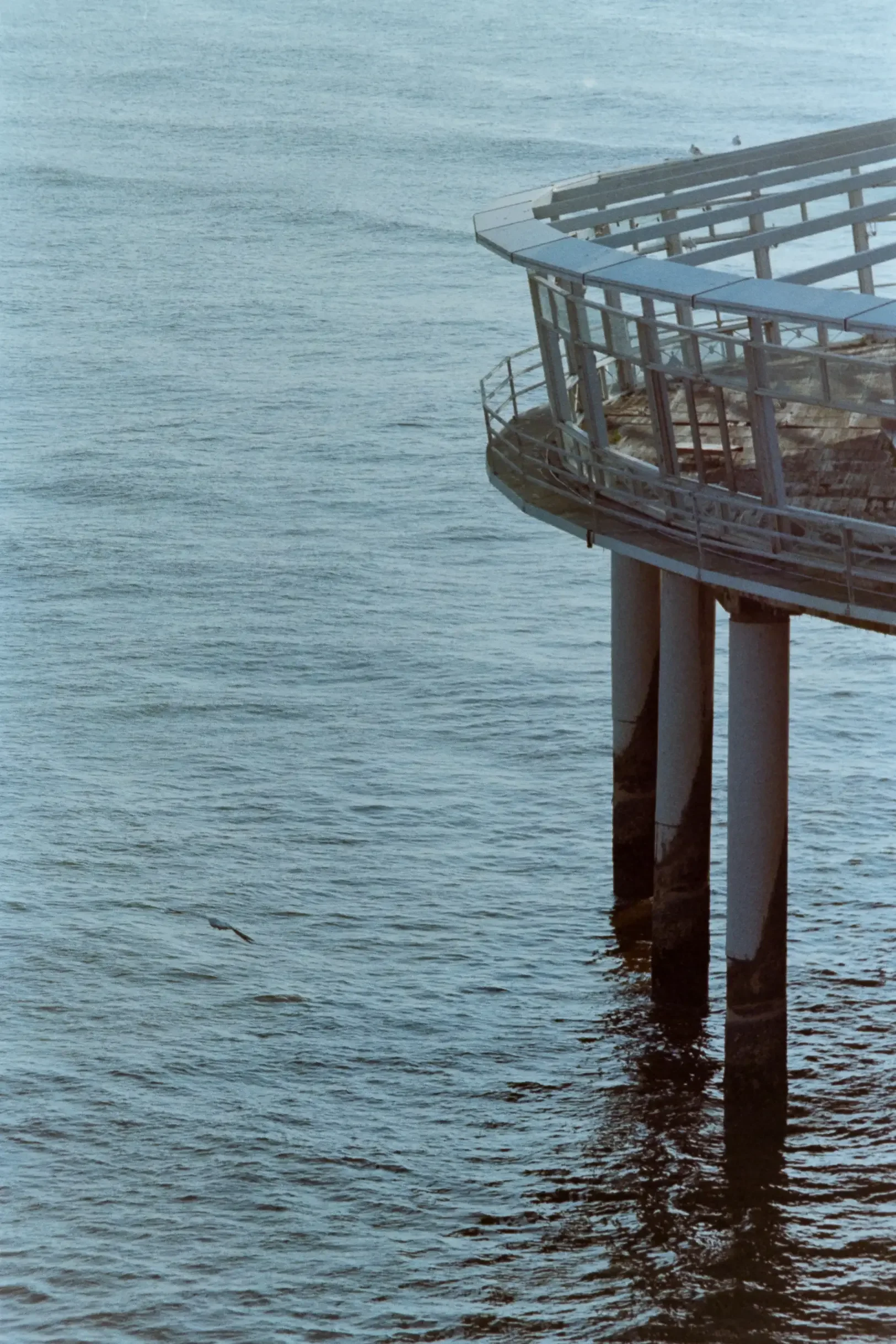 analogfotografie-neiderlande-den-haag-rotterdam