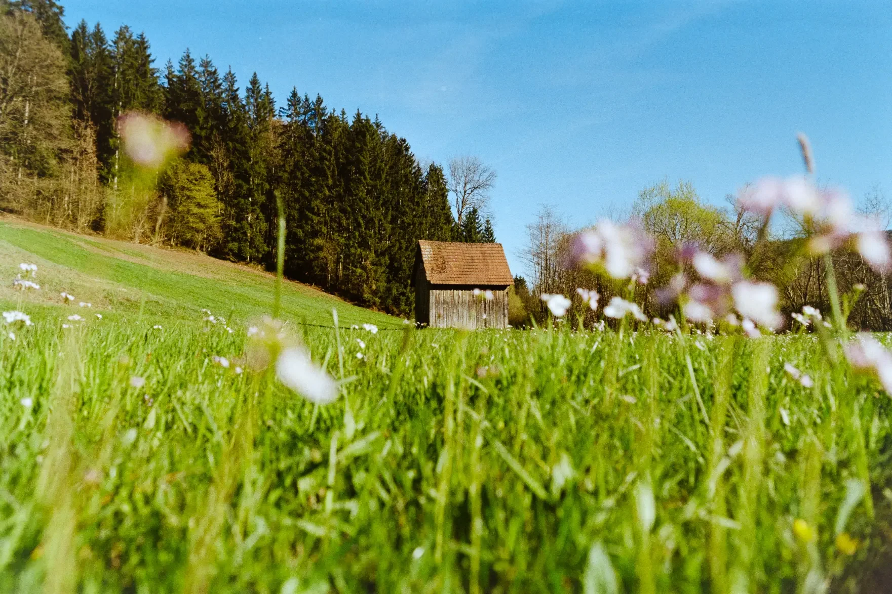 analogfotografie-oberstenfeld-street-architektur-stimmung