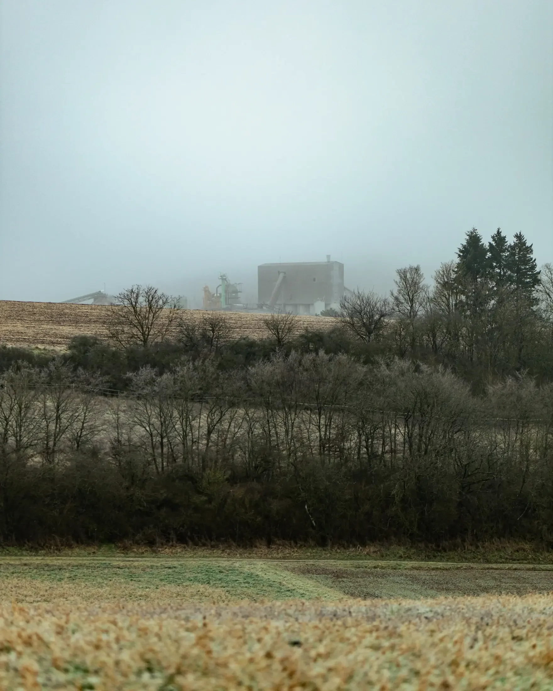 landschaftsfotografie-natur-wald-architektur-wald-zerfall-bäume