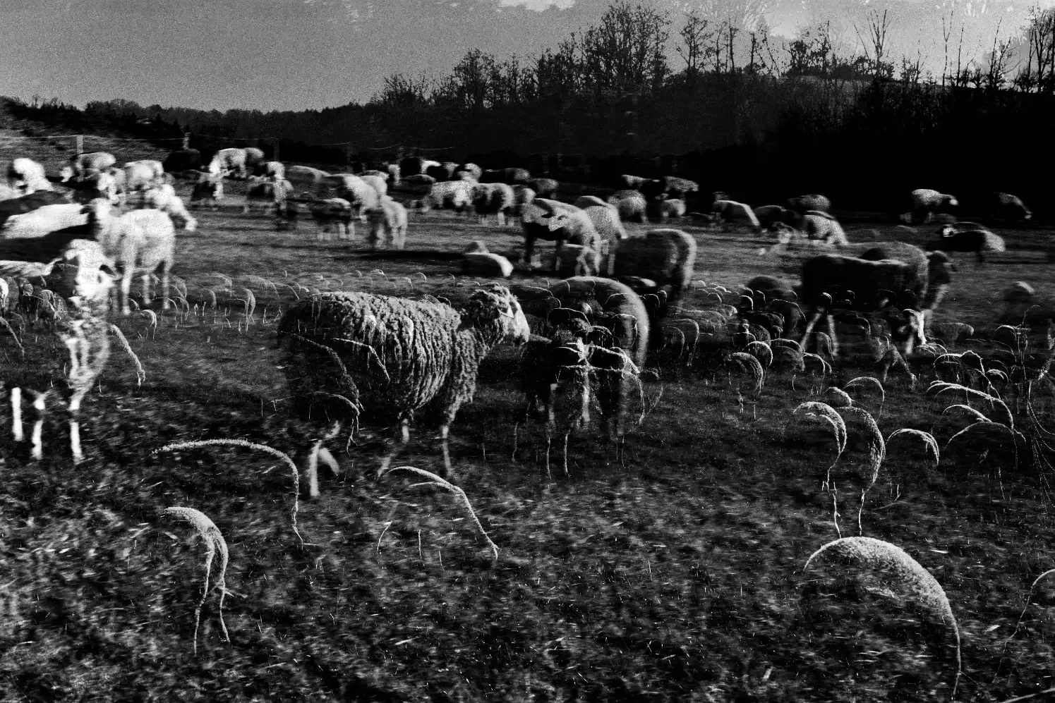 experimentelle-fotografie-composing-langzeitbelichtung-fotomontage (80).webp