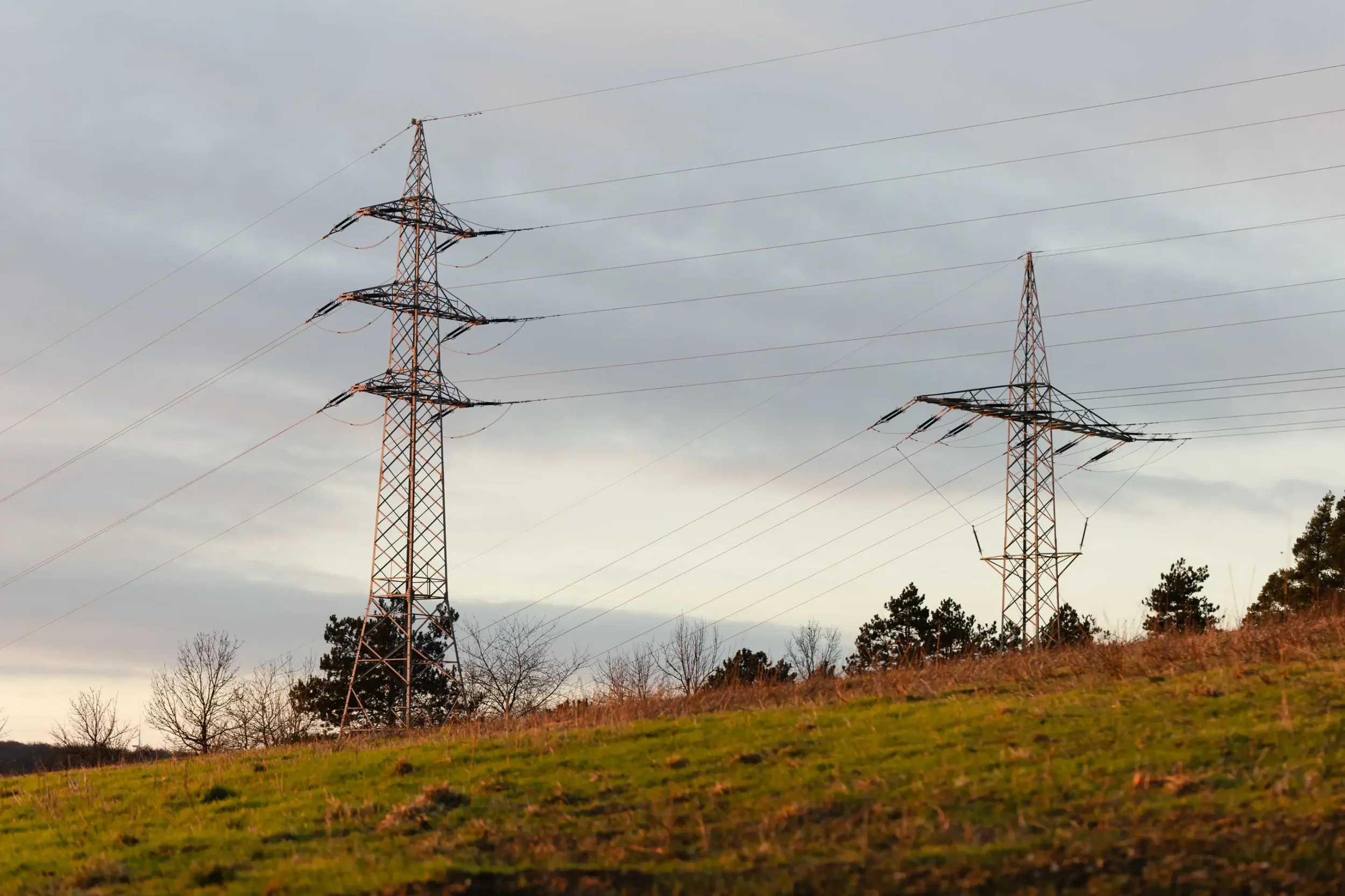 landschaftsfotografie-natur-wald-architektur-wald-zerfall-bäume