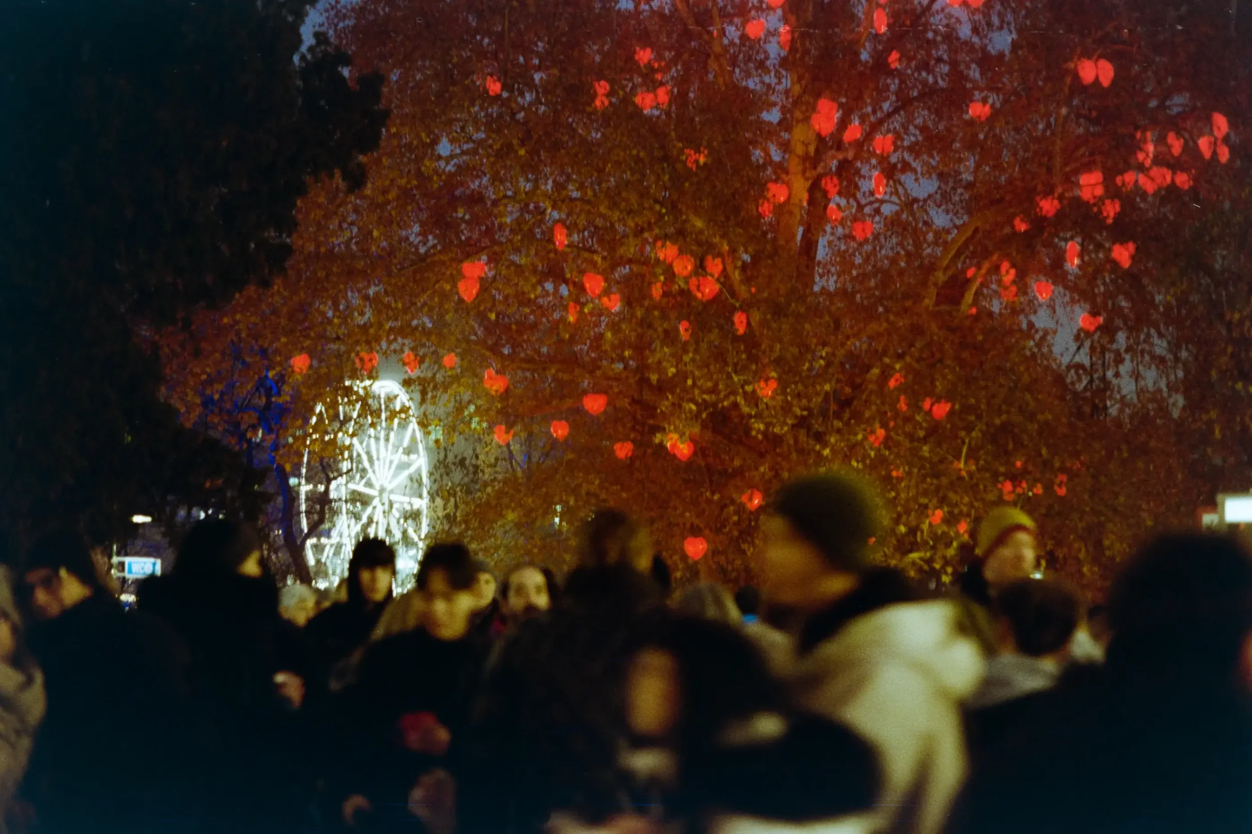 analogfotografie-wien-weihnachtsmarkt-streetfotografie-schwarzweiss-farbe-architektur
