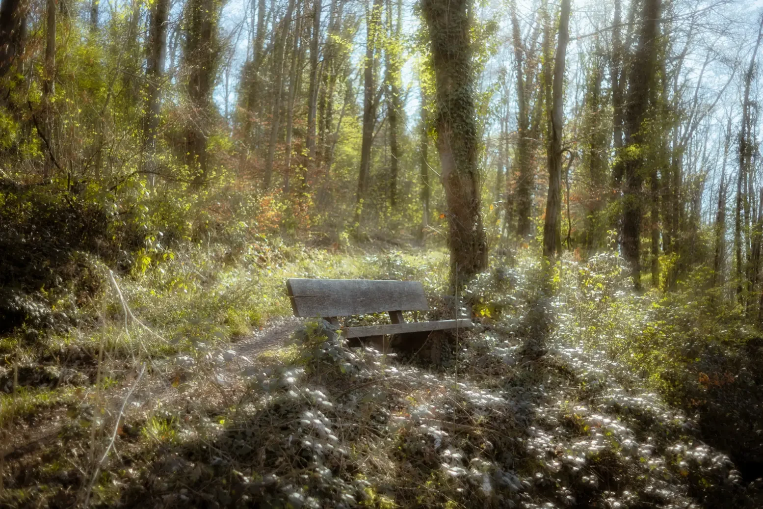 experimentelle-fotografie-composing-langzeitbelichtung-fotomontage