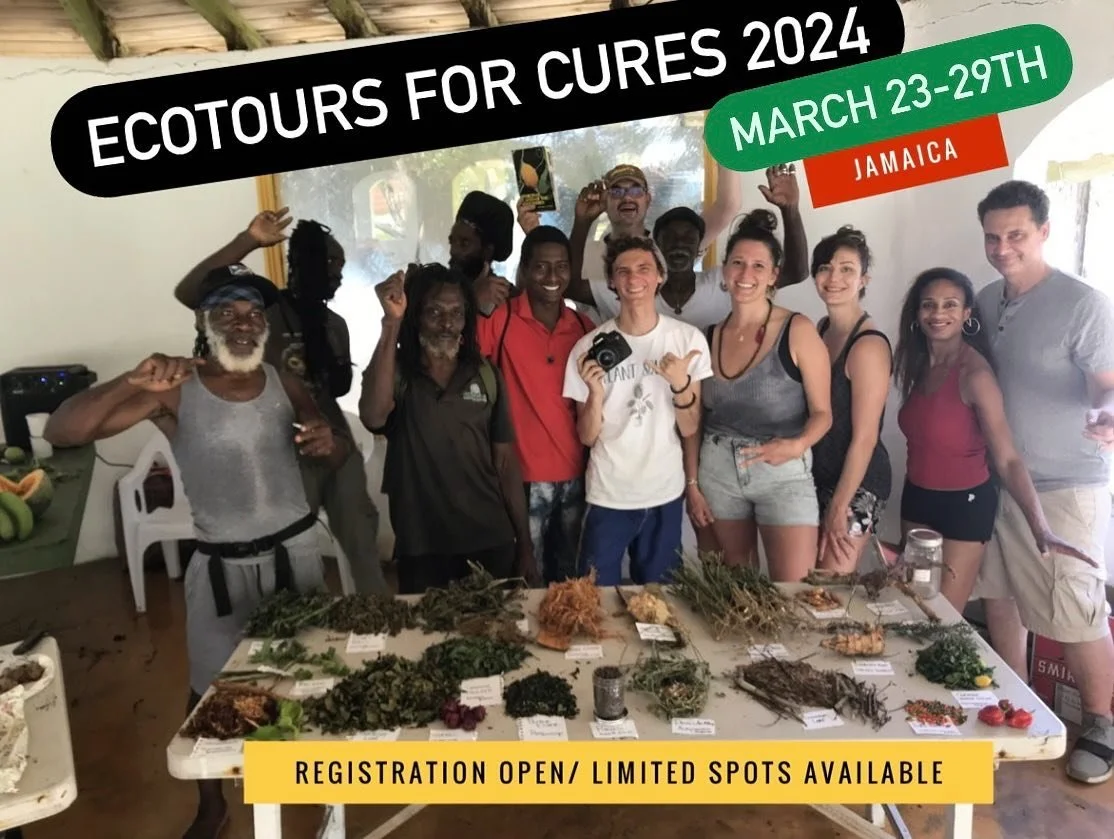 2024 dates ! 🗓️❤️💛💚🖤
March 23-29th ☀️🌊🌱