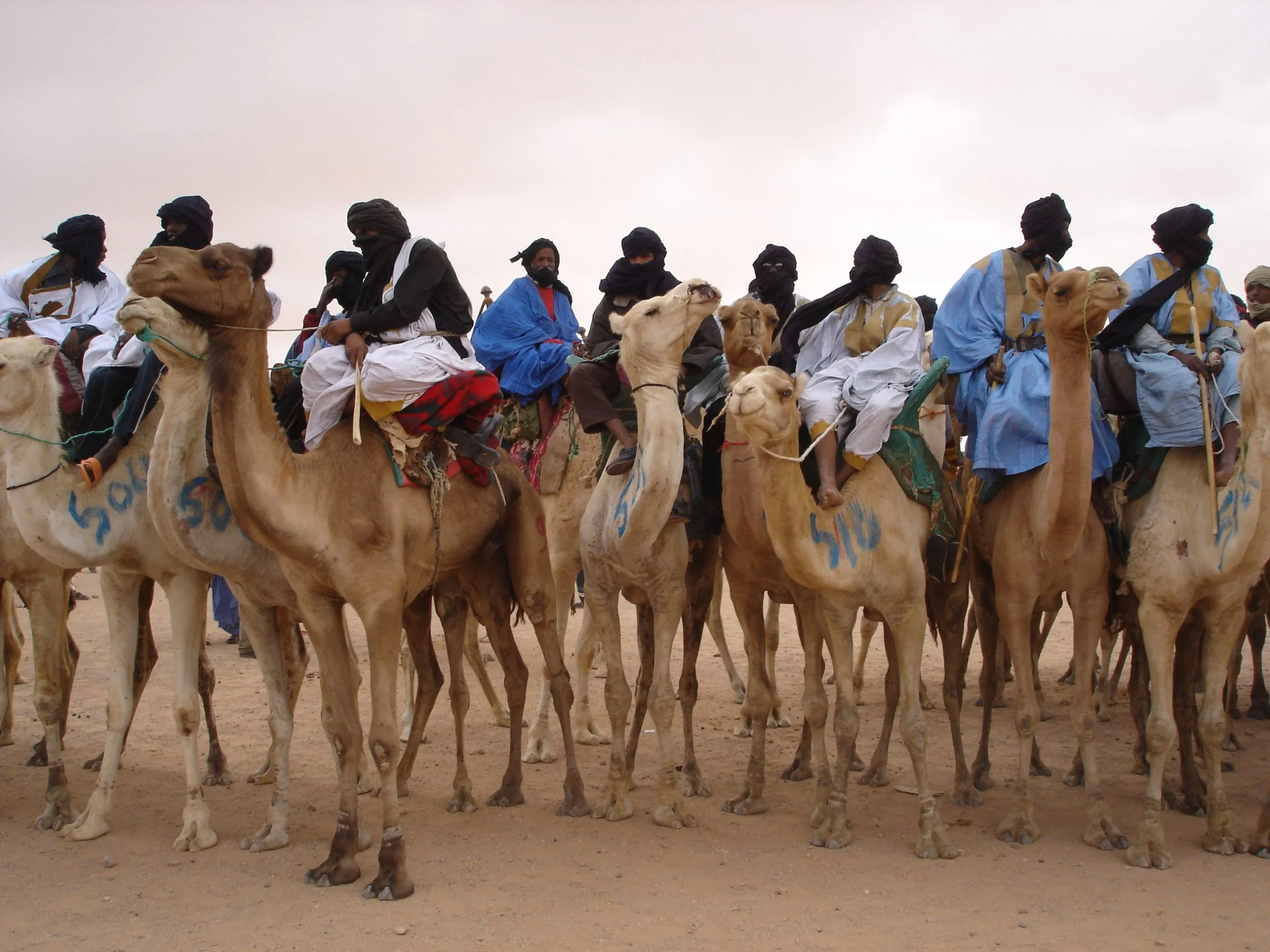 Group of men wearing traditional clothing and head coverings riding camels in a desert landscape.