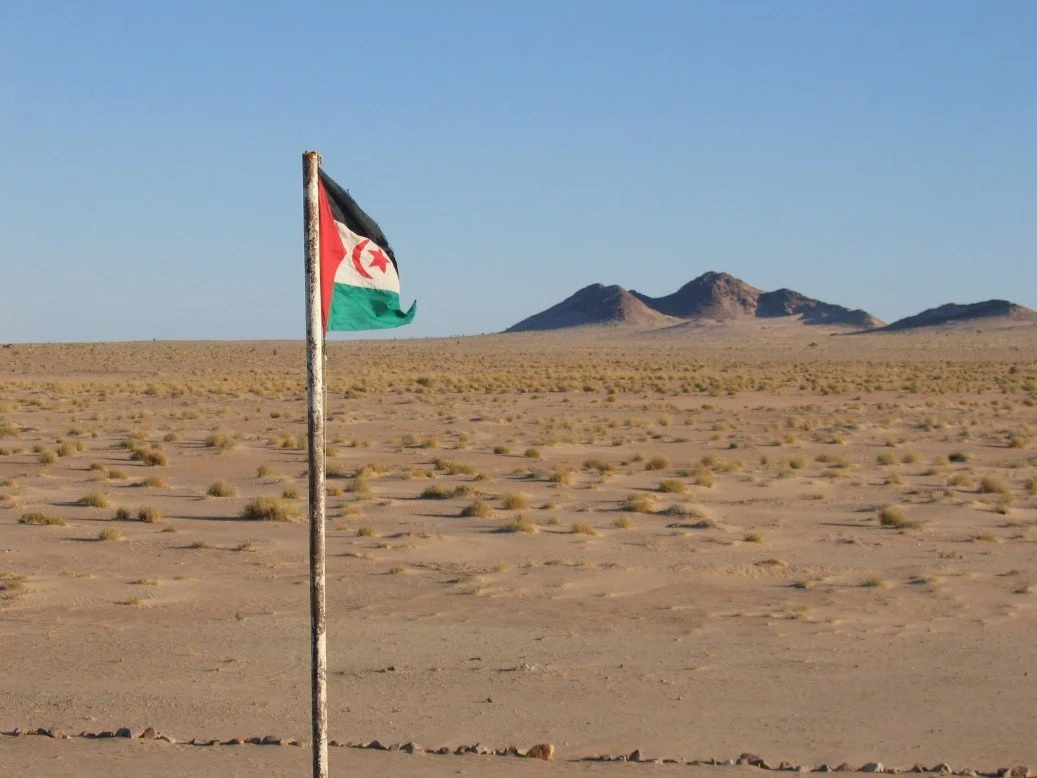 A flag of Tunisia planted in a desert with sparse vegetation, mountains in the background, and a clear blue sky.