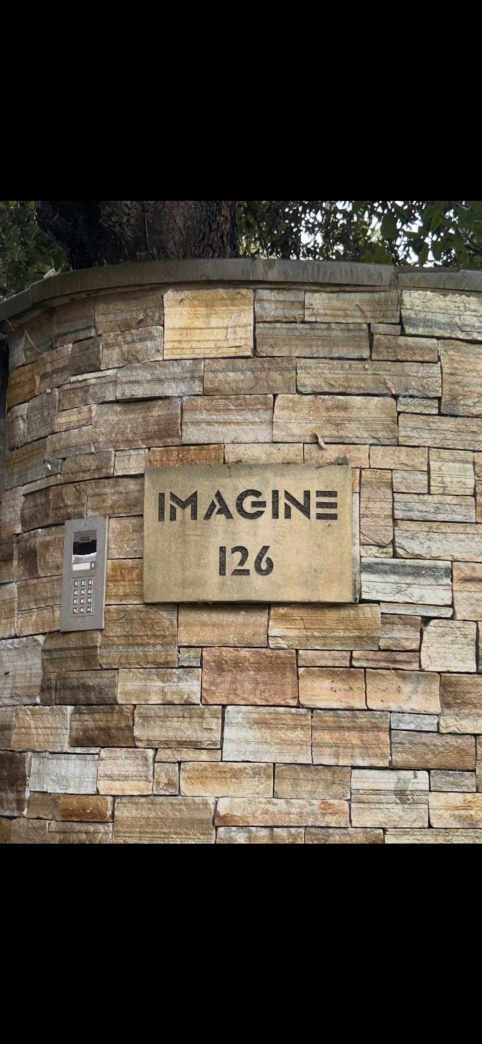 IMG_4261.png