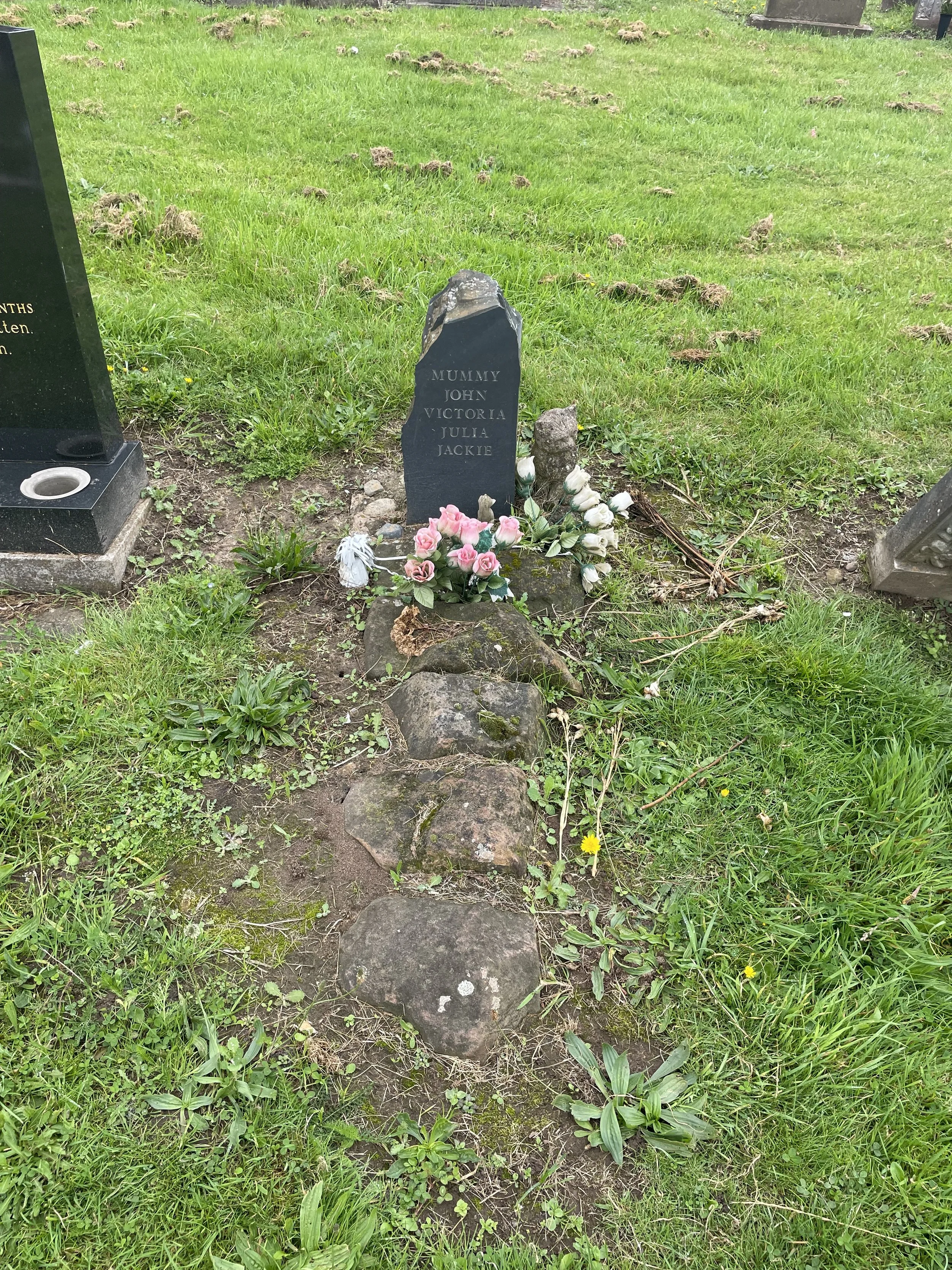 IMG_6843.jpeg