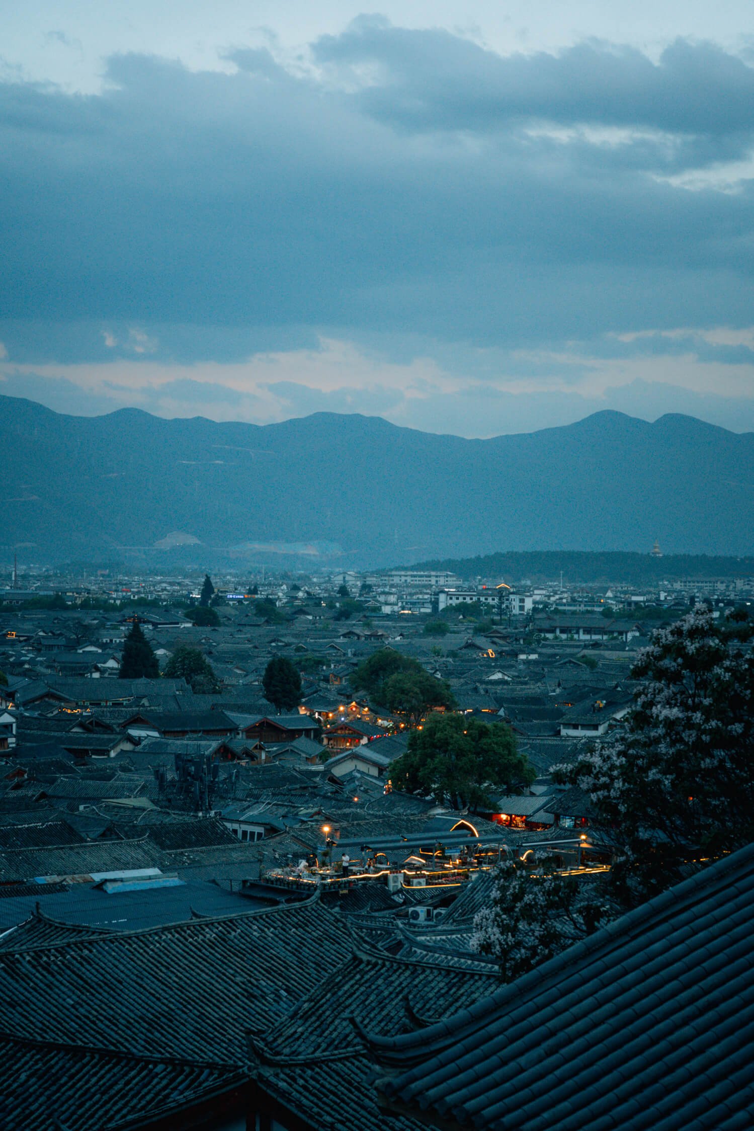 DSC08172.jpg