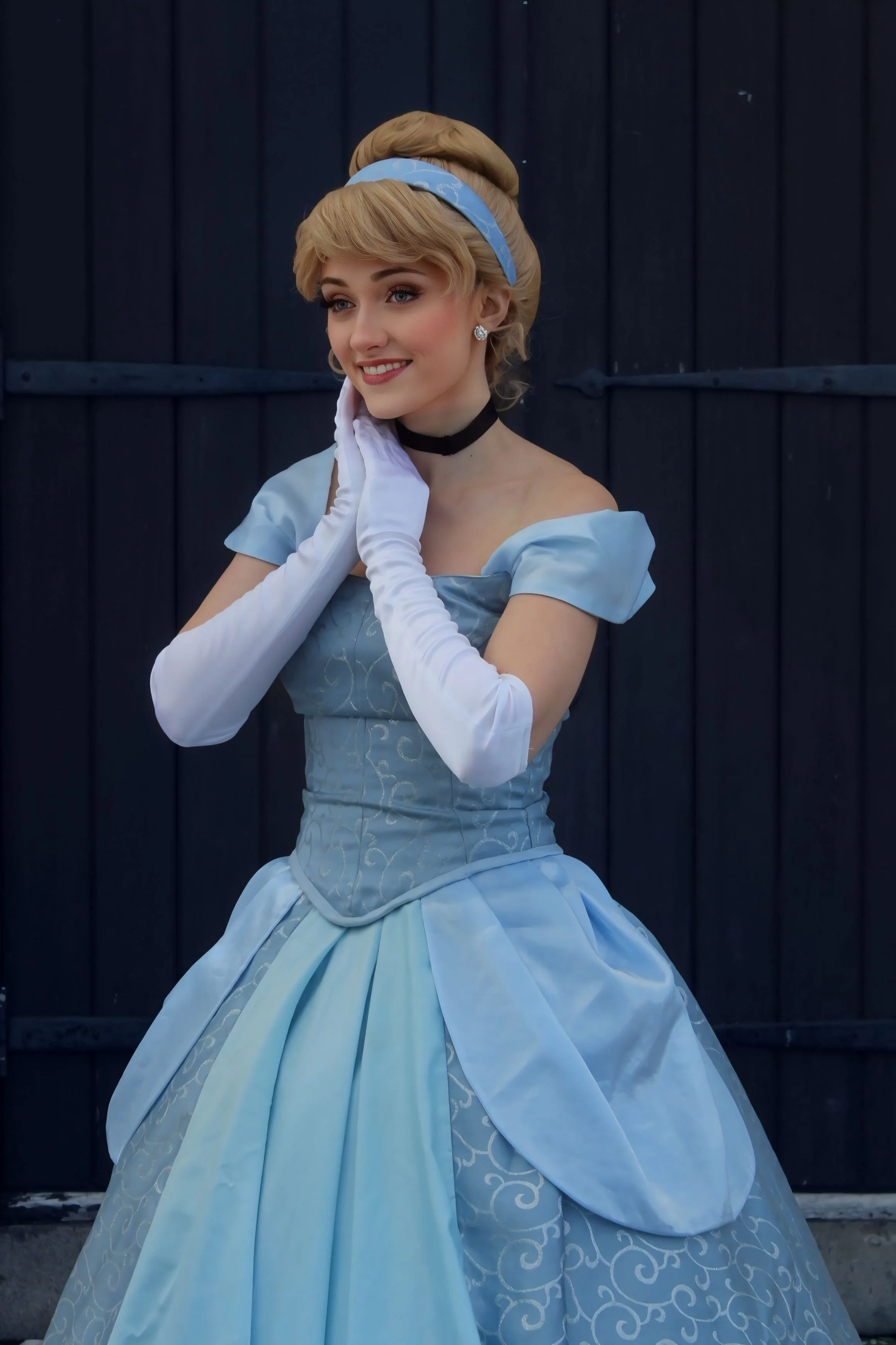 The Glass Slipper Princess