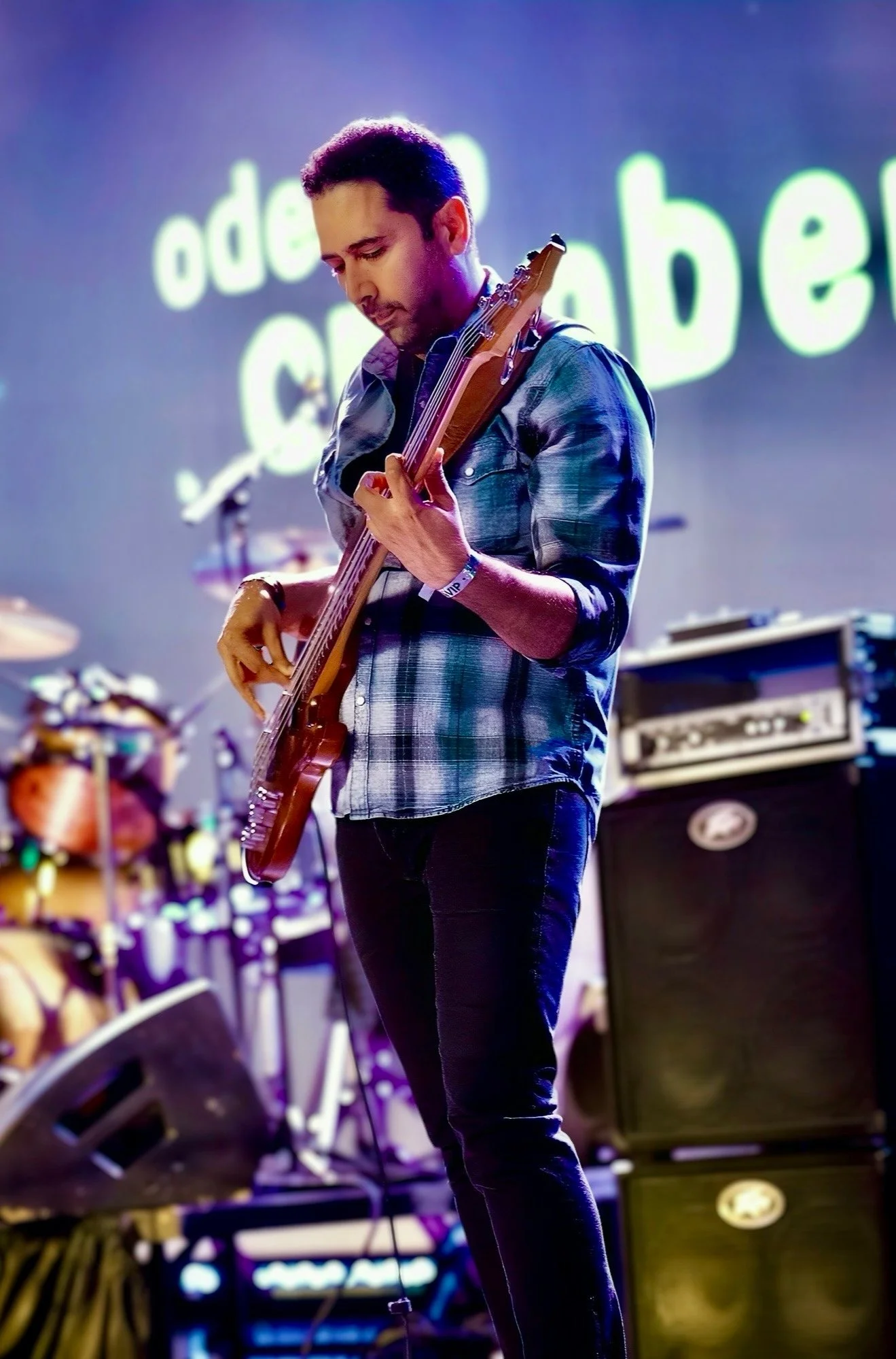Pouya Pourtahmasbi (Mike Hogan) playing bass live on stage with the cranberries tribute band